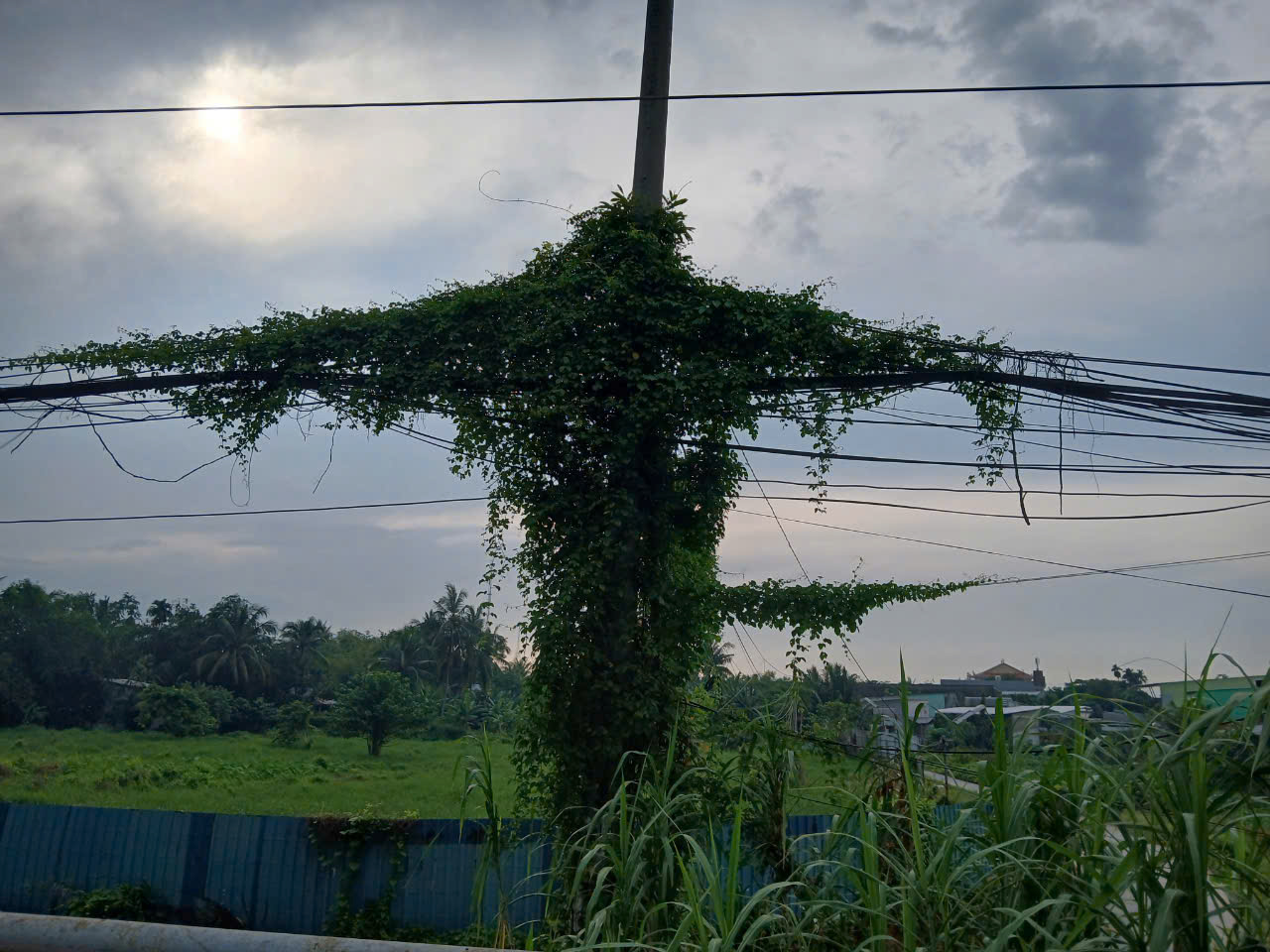 C&aacute;p điện, viễn th&ocirc;ng giăng "mạng nhện" tr&ecirc;n phố Cần Thơ- Ảnh 6.