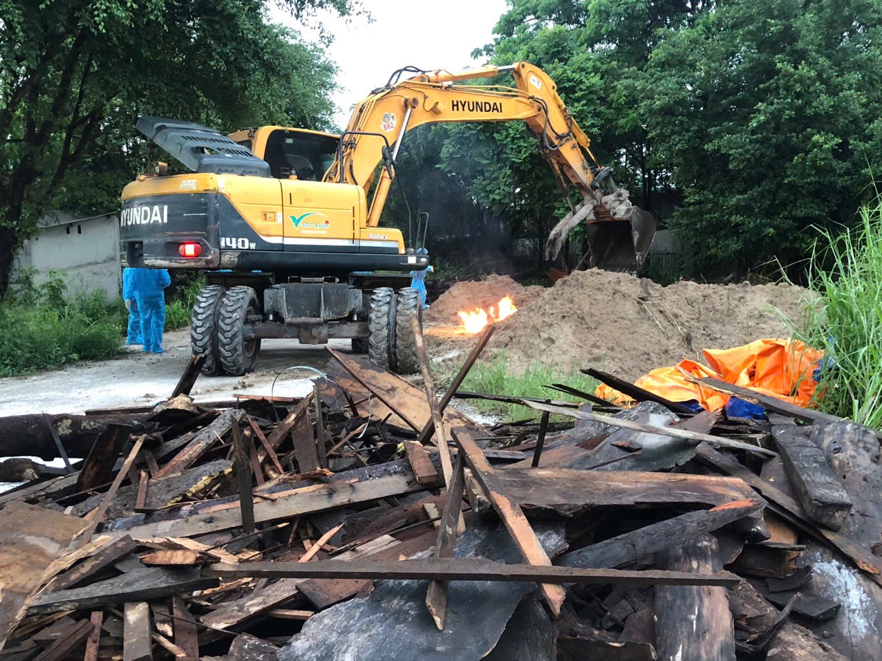 Ti&ecirc;u hủy hổ, b&aacute;o chết ở Vườn Xo&agrave;i bằng đốt v&agrave; ch&ocirc;n lấp- Ảnh 1.