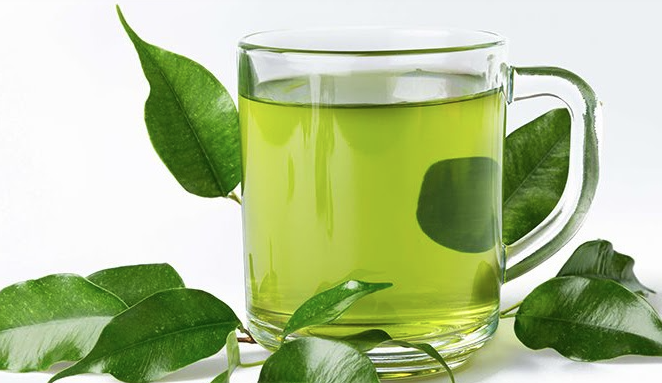 Loại l&aacute; ăn sống, uống nước đều tốt, vừa m&aacute;t gan lại ngừa ung thư hiệu quả- Ảnh 4.