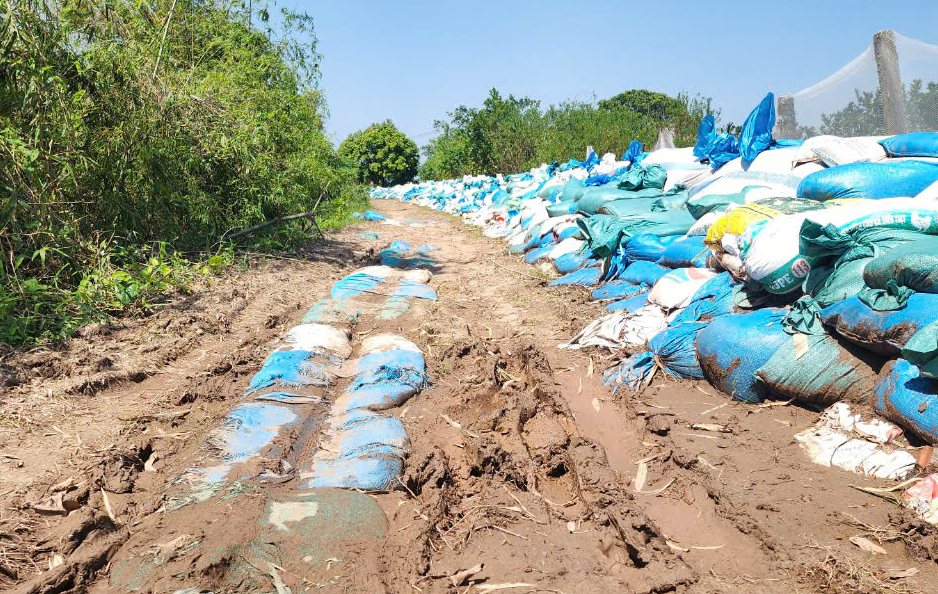 Nam Định: Khốn khổ đường v&agrave;o th&ocirc;n gần 500 hộ d&acirc;n- Ảnh 2.