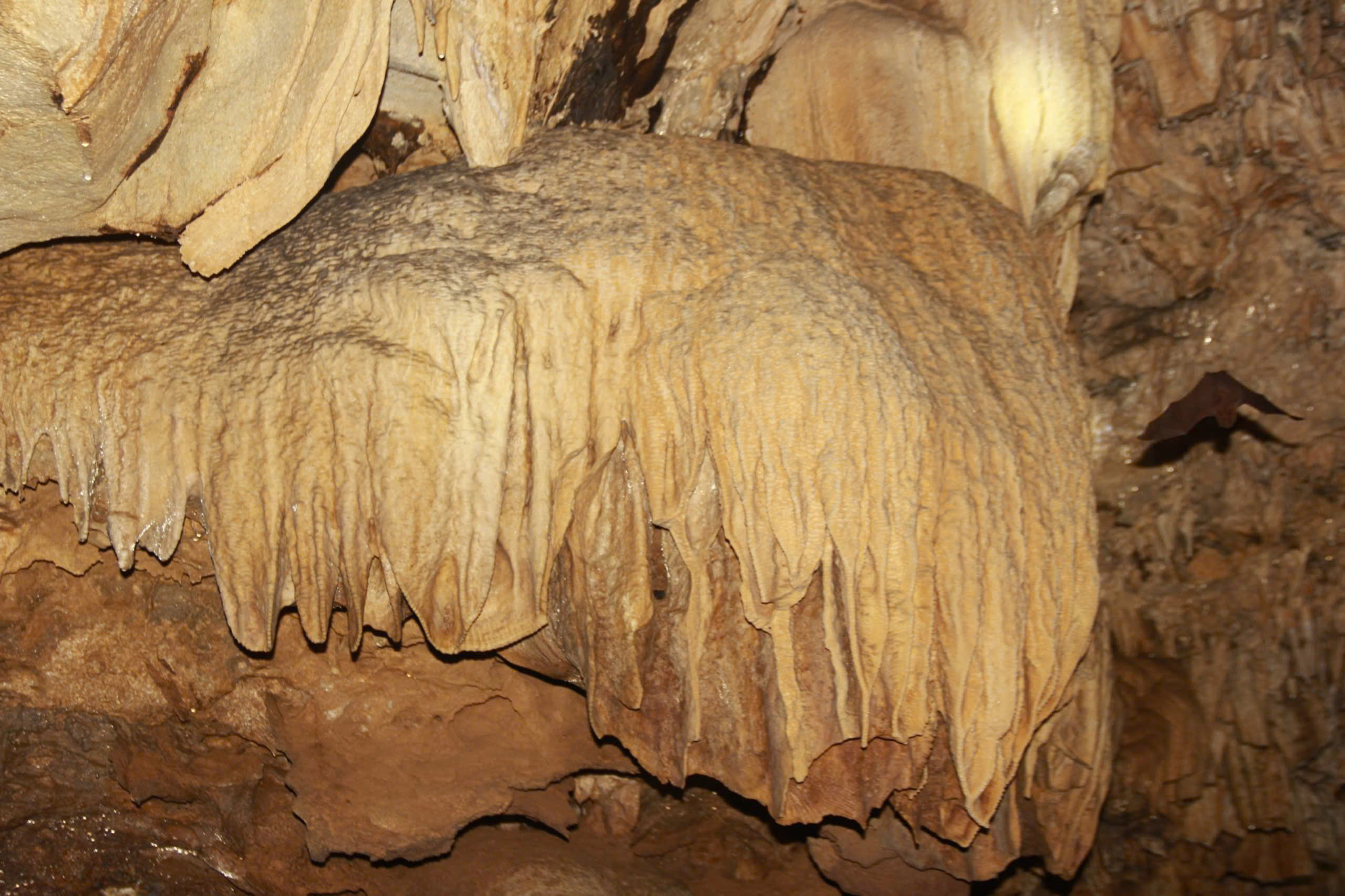 Dừng khai th&aacute;c kho&aacute;ng sản sau khi ph&aacute;t hiện hang động tại n&uacute;i Đụn- Ảnh 5.