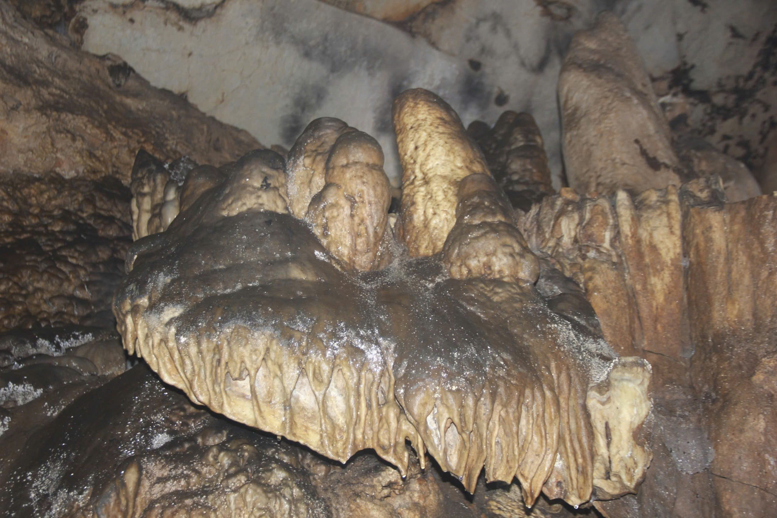 Dừng khai th&aacute;c kho&aacute;ng sản sau khi ph&aacute;t hiện hang động tại n&uacute;i Đụn- Ảnh 6.