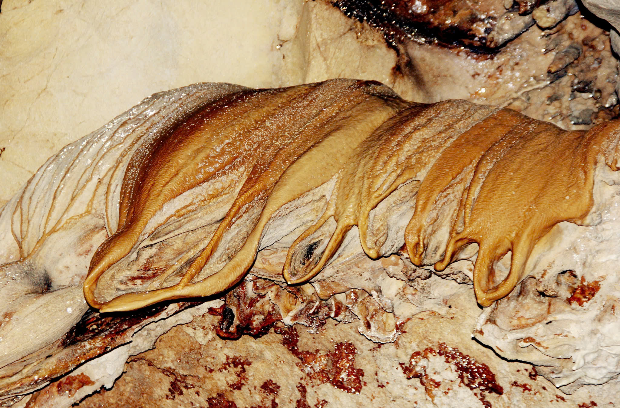 Dừng khai th&aacute;c kho&aacute;ng sản sau khi ph&aacute;t hiện hang động tại n&uacute;i Đụn- Ảnh 7.