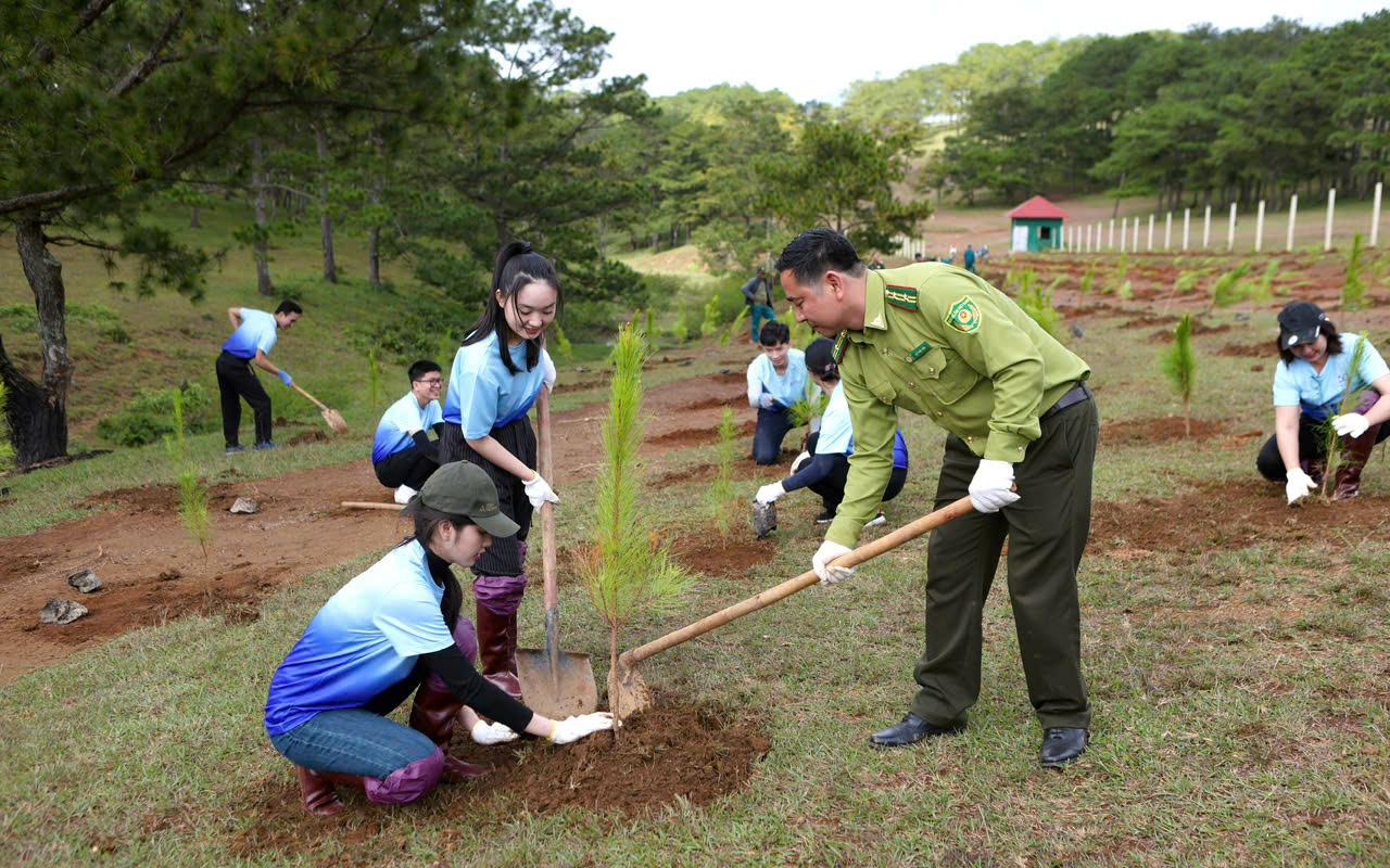SASCO lần thứ 5 liên tiếp được vinh danh Thương hiệu Quốc gia Việt Nam- Ảnh 4. SASCO trồng cây xanh tặng xứ sở ngàn thông Đà Lạt