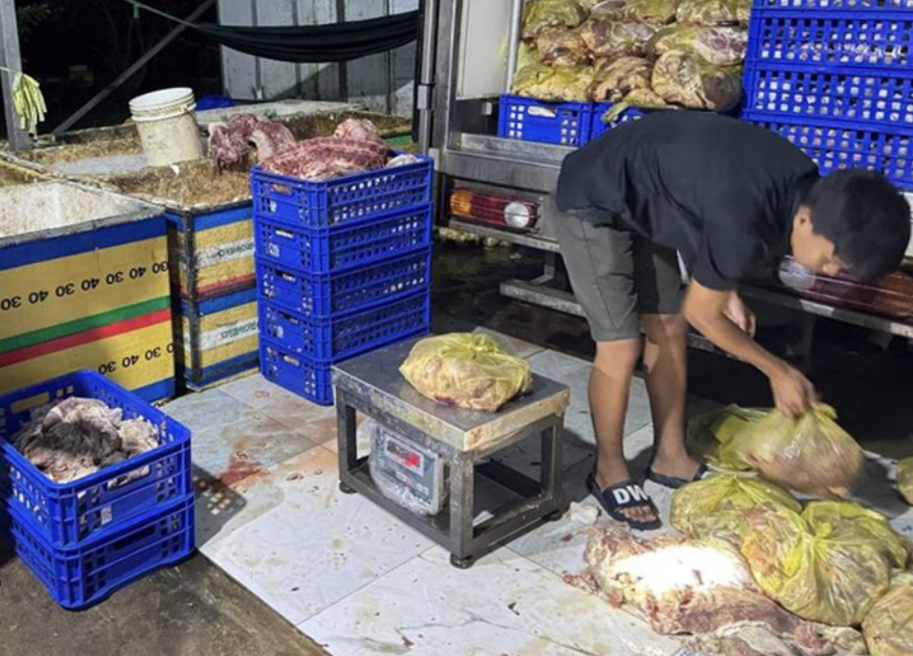 Chặn bốn tấn heo bẩn để l&agrave;m x&uacute;c x&iacute;ch, gi&ograve; chả sắp tuồn ra thị trường- Ảnh 1.