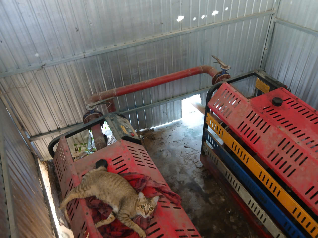 Cần Thơ: Chợ cũ xuống cấp b&aacute;n mua tấp nập, chợ mới khang trang kh&ocirc;ng một b&oacute;ng người- Ảnh 6.