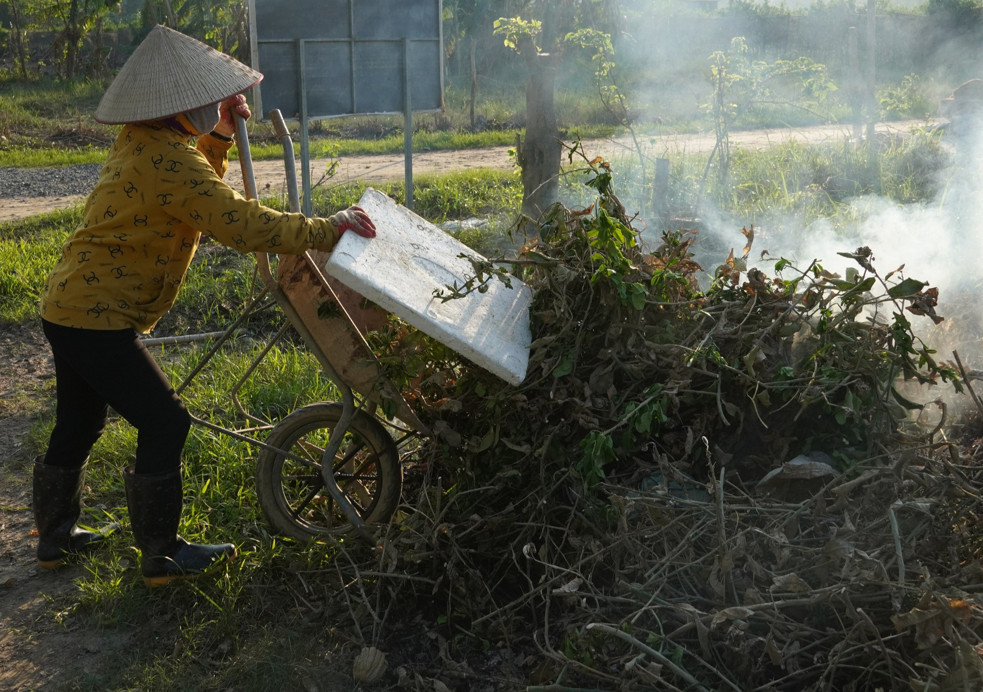 Mất trắng h&agrave;ng trăm tỷ, d&acirc;n trồng phật thủ ở H&agrave; Nội khốn khổ phục hồi sản xuất- Ảnh 8.