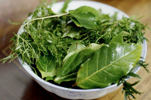 Loại l&aacute; ăn sống, uống nước đều tốt, vừa m&aacute;t gan lại ngừa ung thư hiệu quả- Ảnh 1.