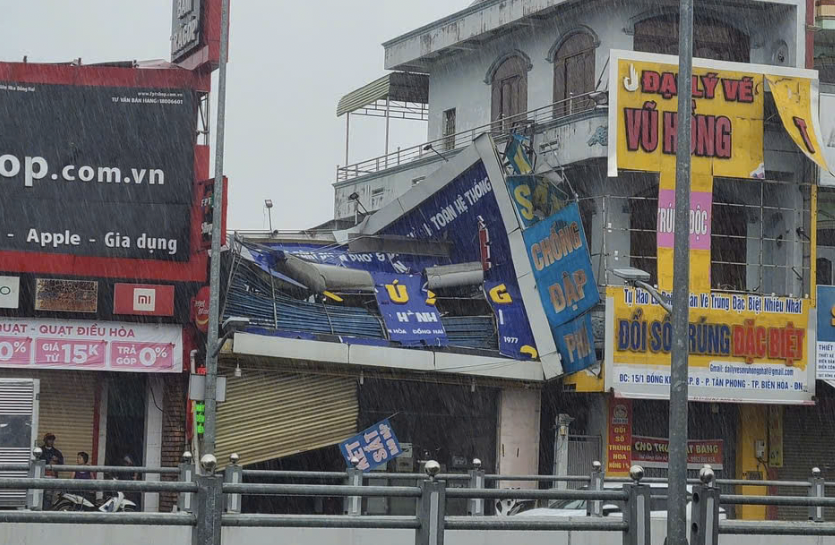 C&acirc;y xanh, biển quảng c&aacute;o ng&atilde; đổ sau mưa lớn ở Đồng Nai- Ảnh 2.