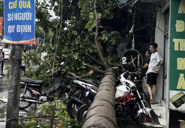 C&acirc;y xanh, biển quảng c&aacute;o ng&atilde; đổ sau mưa lớn ở Đồng Nai- Ảnh 1.