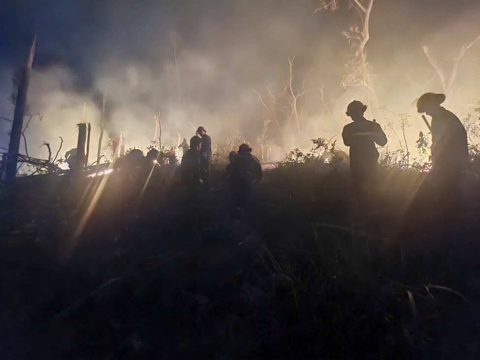 Đồi c&acirc;y ở trung t&acirc;m TP Hạ Long ch&aacute;y lớn trong đ&ecirc;m- Ảnh 2.