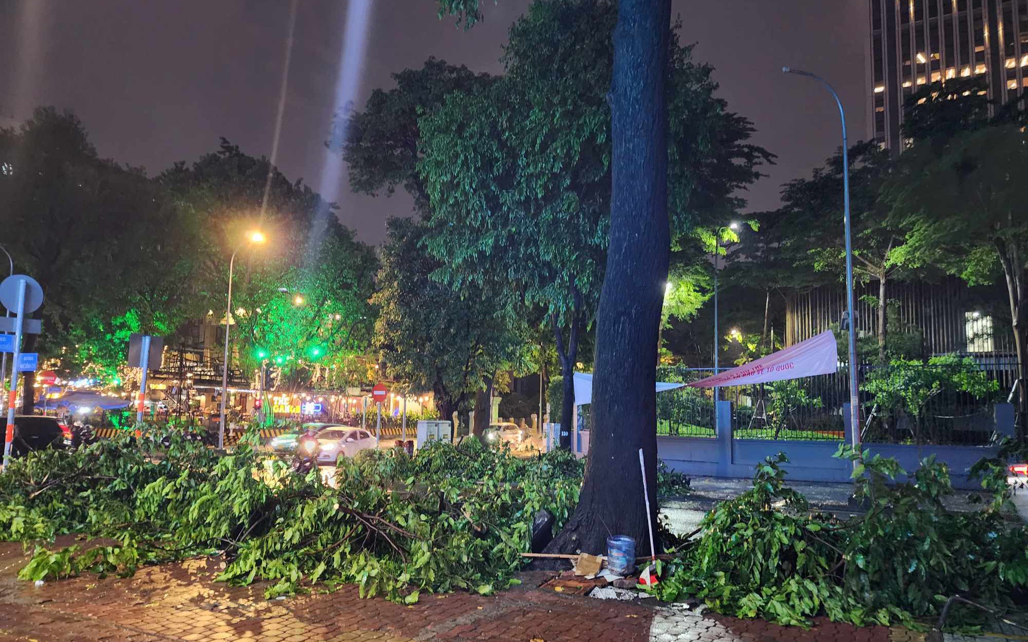 Sức khỏe các nạn nhân bị cây xanh bật gốc đè trúng hiện ra sao?- Ảnh 4. TP.HCM mưa lớn, cây bật gốc đè trúng người đi đường
