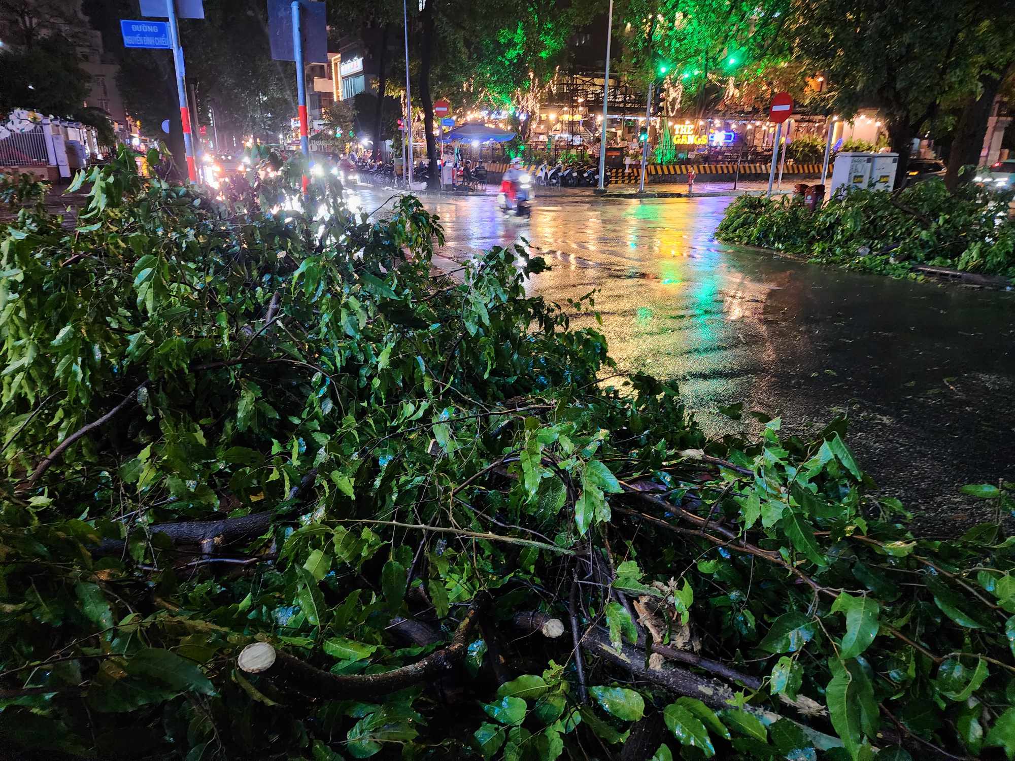 TP.HCM mưa lớn, c&acirc;y bật gốc đ&egrave; tr&uacute;ng người đi đường - Ảnh 1.