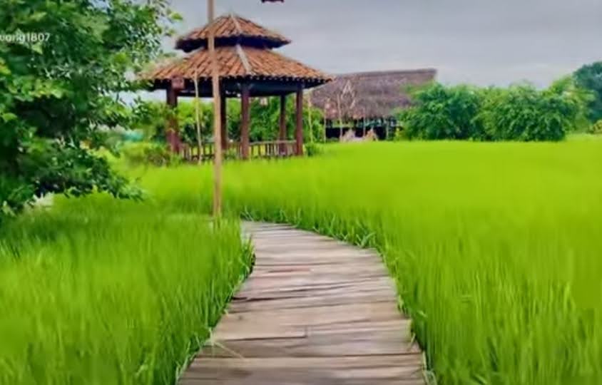 Long An: Buộc th&aacute;o dỡ khu sinh th&aacute;i "Kh&ocirc;ng thời gian"- Ảnh 1.