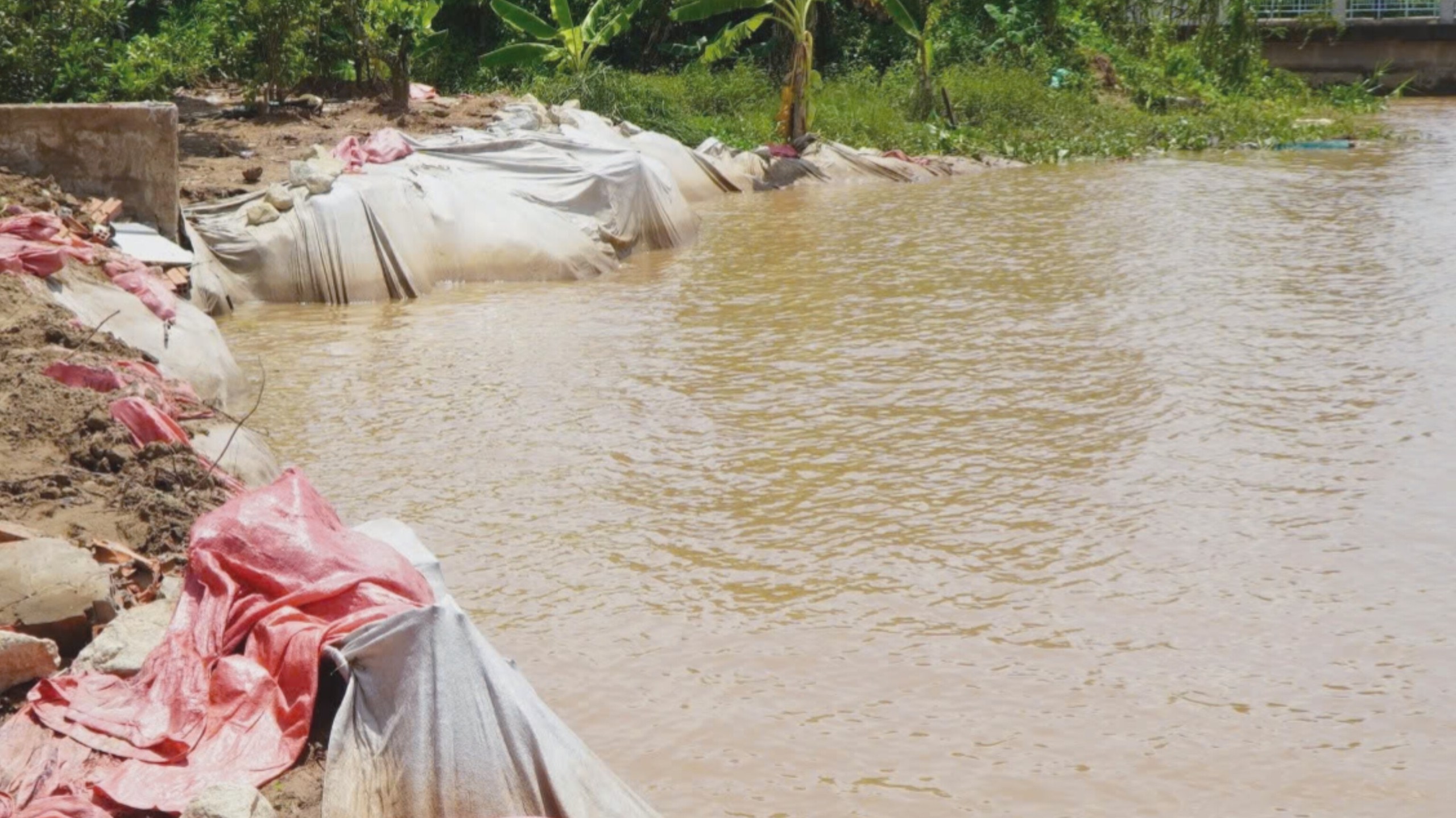 Người dân bất an sau vụ sạt lở nghiêm trọng ở Đồng Tháp- Ảnh 5. Người dân bất an sau vụ sạt lở nghiêm trọng ở Đồng Tháp- Ảnh 5.