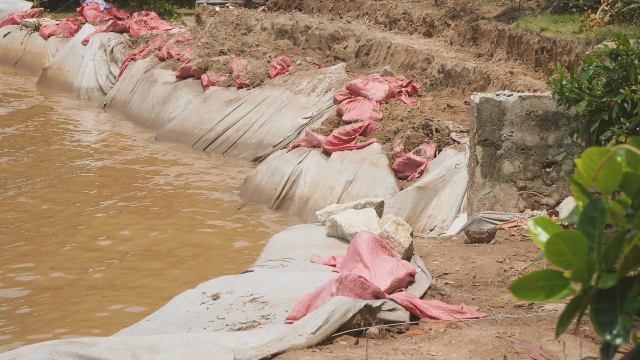 Người dân bất an sau vụ sạt lở nghiêm trọng ở Đồng Tháp- Ảnh 3. Người dân bất an sau vụ sạt lở nghiêm trọng ở Đồng Tháp- Ảnh 3.