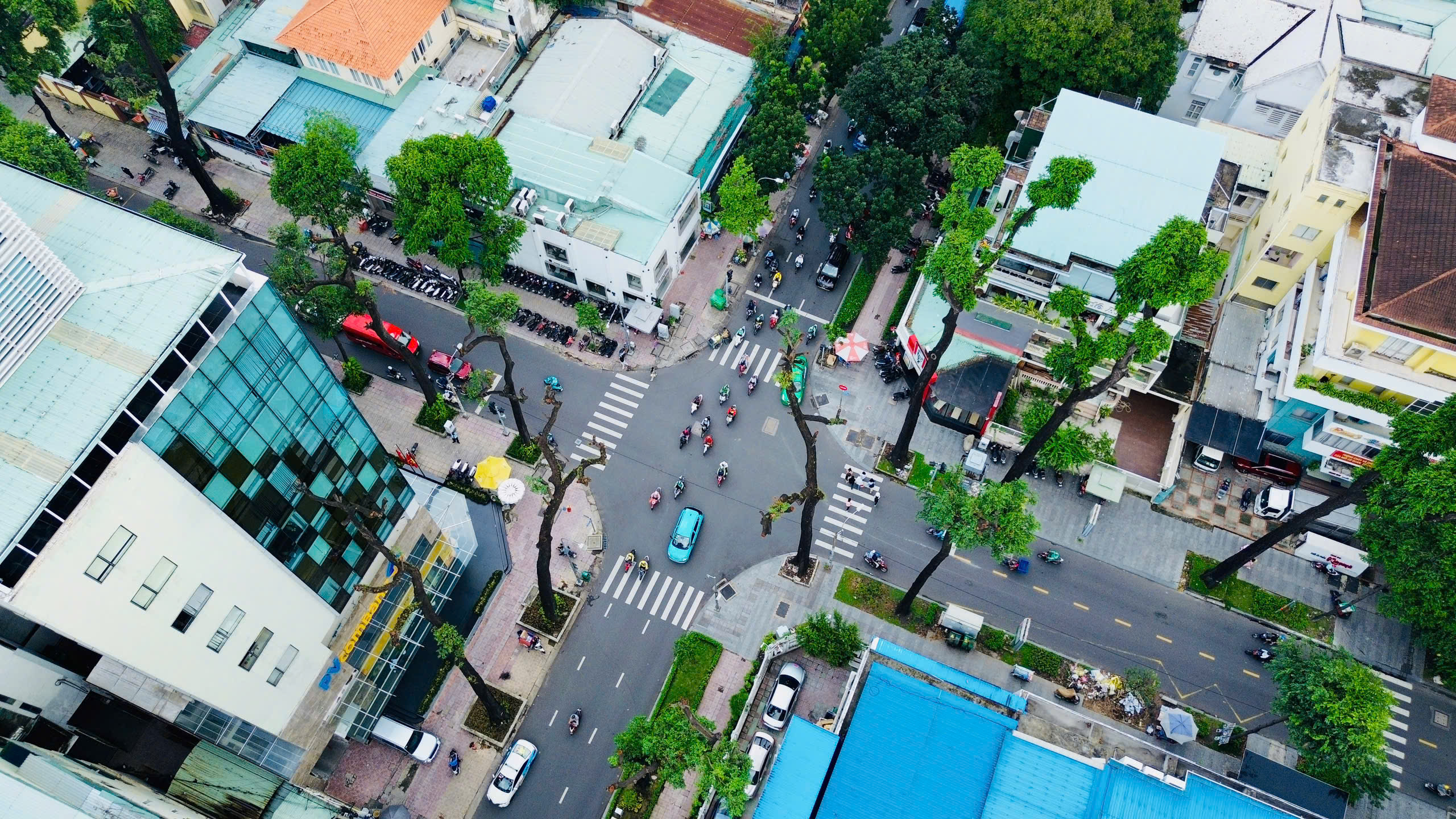 Sức khỏe c&aacute;c nạn nh&acirc;n bị c&acirc;y xanh bật gốc đ&egrave; tr&uacute;ng hiện ra sao?- Ảnh 3.