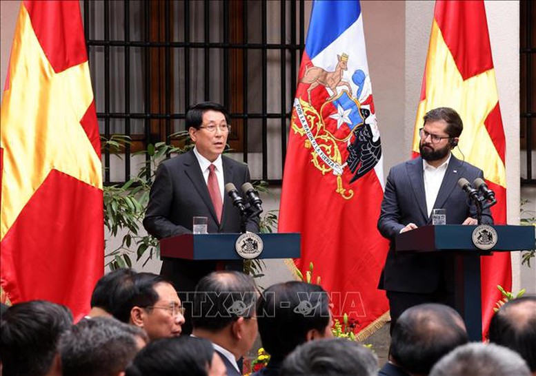 Chủ tịch nước Lương Cường hội đ&agrave;m với Tổng thống Chile- Ảnh 5.
