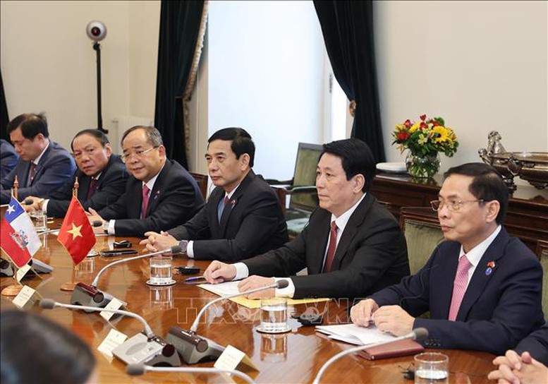 Chủ tịch nước Lương Cường hội đ&agrave;m với Tổng thống Chile- Ảnh 2.