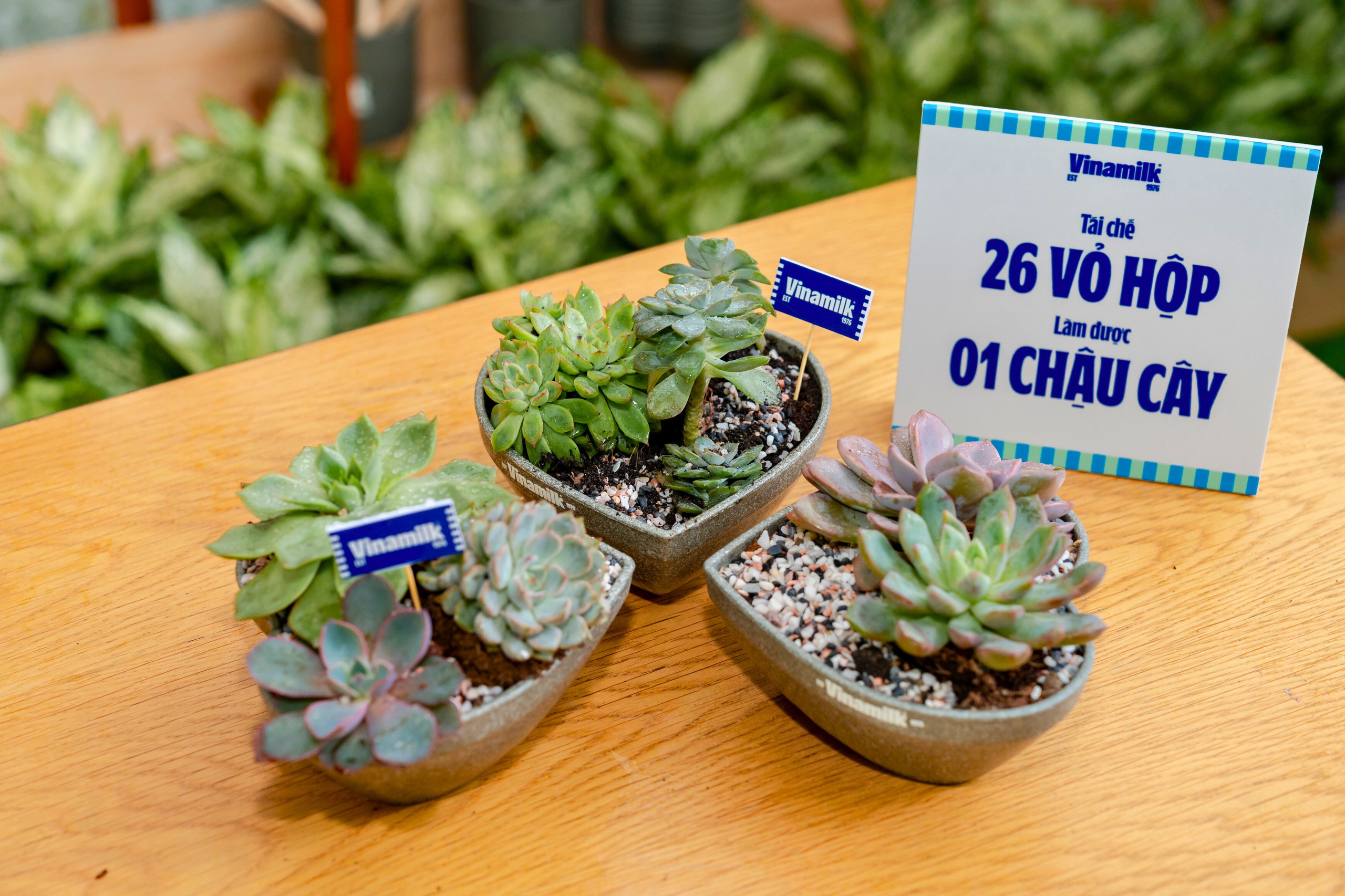 C&aacute;c bạn trẻ h&agrave;o hứng với trải nghiệm &ldquo;Si&ecirc;u xanh, si&ecirc;u xinh&rdquo; đến từ Vinamilk- Ảnh 5.
