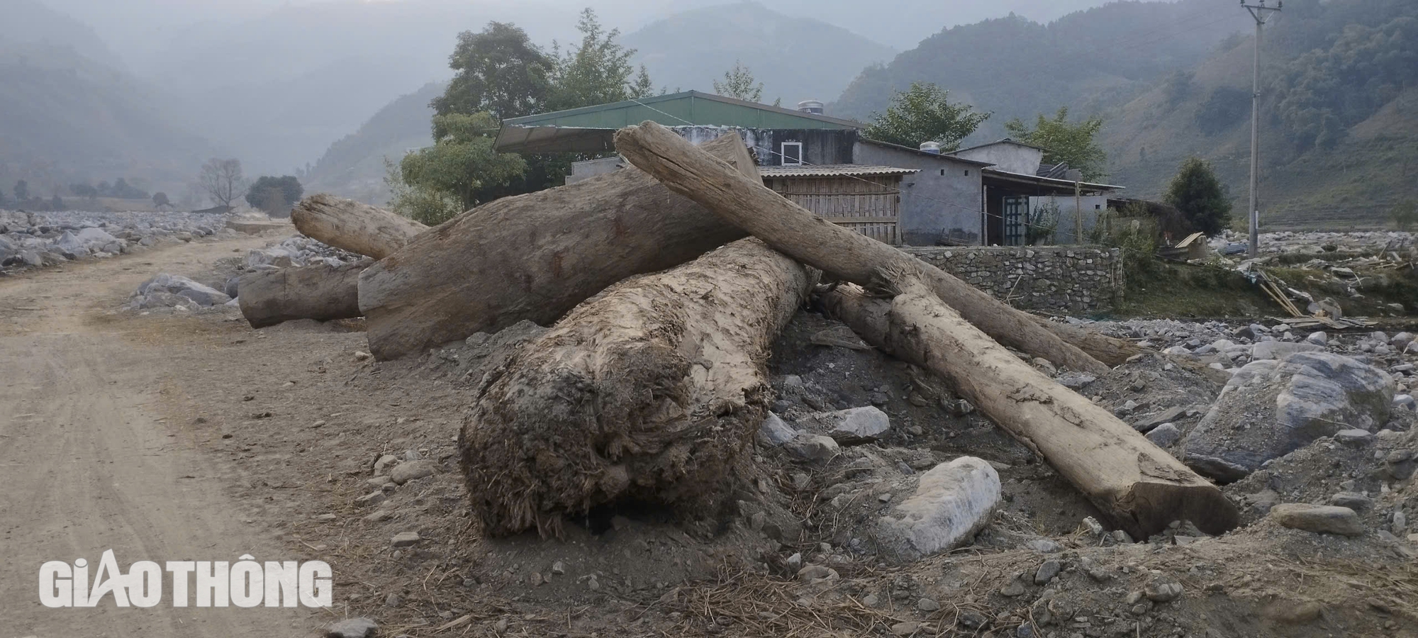 C&aacute;nh đồng 60 h&eacute;c ta chỉ c&ograve;n trơ đ&aacute; sau cơn b&atilde;o số 3- Ảnh 12.