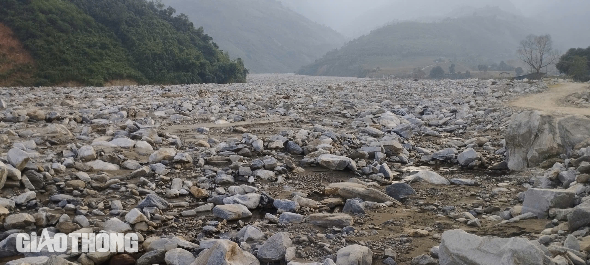 C&aacute;nh đồng 60 h&eacute;c ta chỉ c&ograve;n trơ đ&aacute; sau cơn b&atilde;o số 3- Ảnh 13.