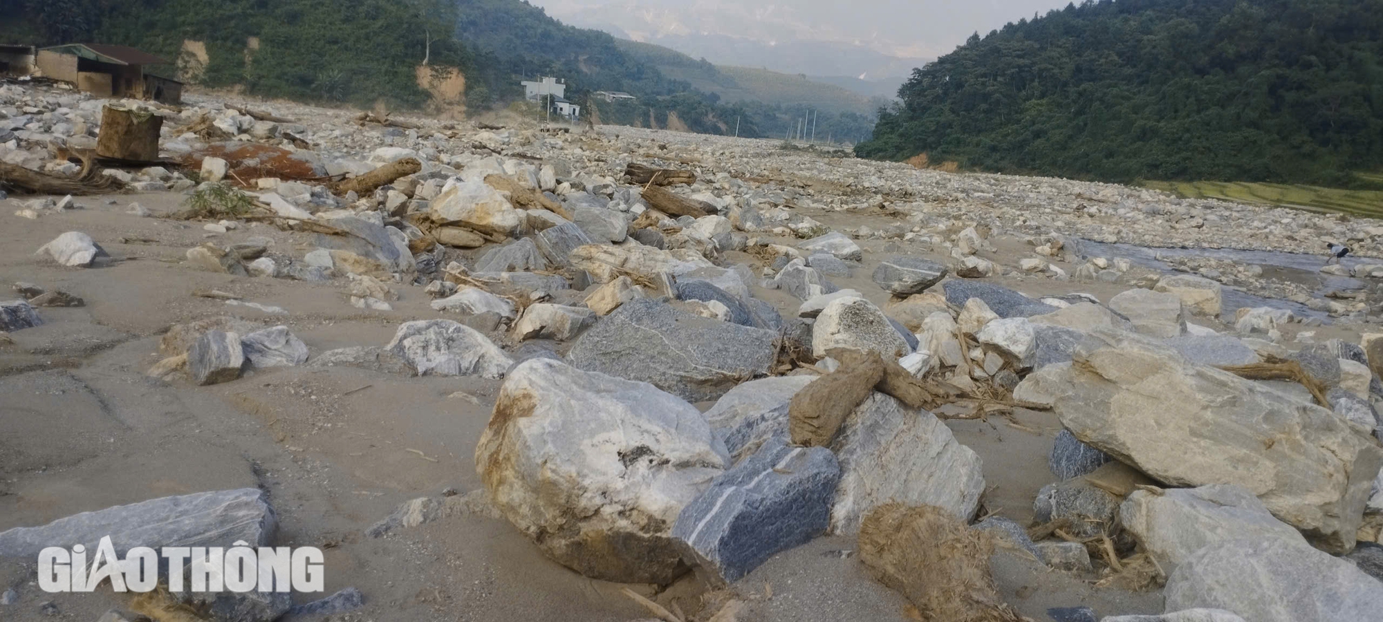 C&aacute;nh đồng 60 h&eacute;c ta chỉ c&ograve;n trơ đ&aacute; sau cơn b&atilde;o số 3- Ảnh 6.