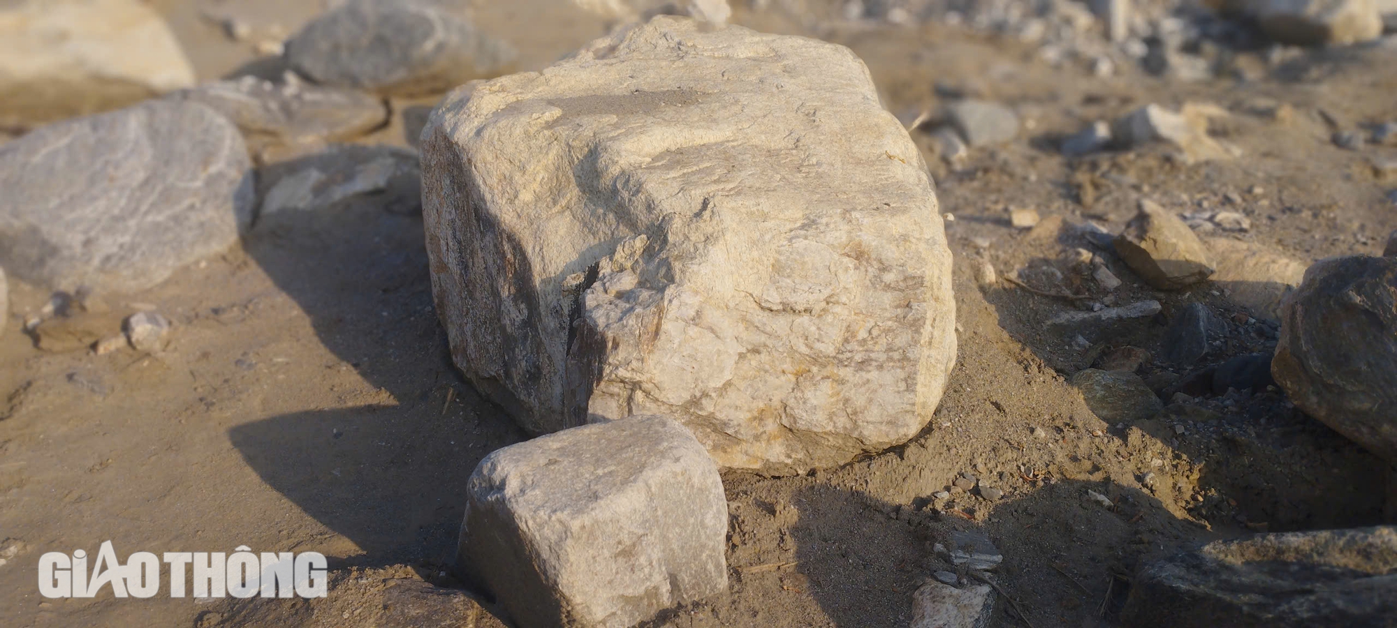 C&aacute;nh đồng 60 h&eacute;c ta chỉ c&ograve;n trơ đ&aacute; sau cơn b&atilde;o số 3- Ảnh 7.