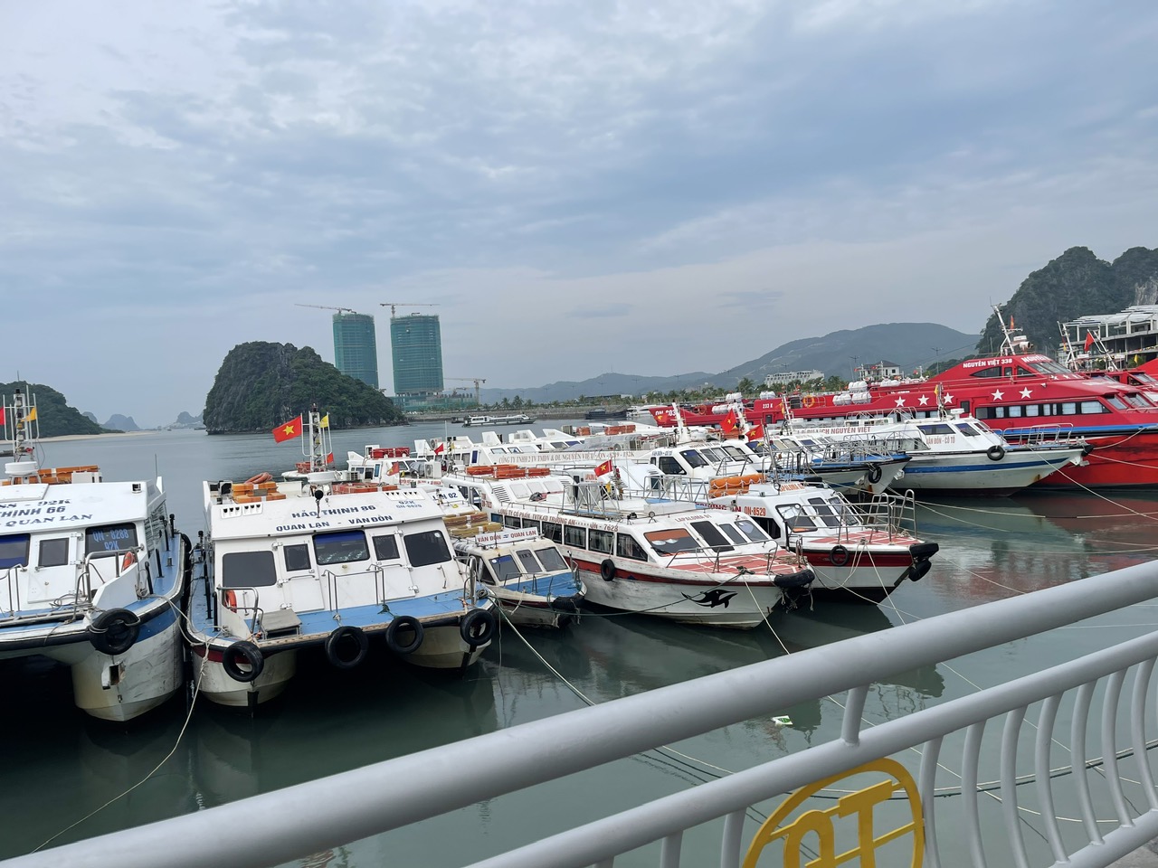 Quảng Ninh đánh thức tiềm năng vịnh Bái Tử Long- Ảnh 5. Quảng Ninh đánh thức tiềm năng vịnh Bái Tử Long- Ảnh 5.