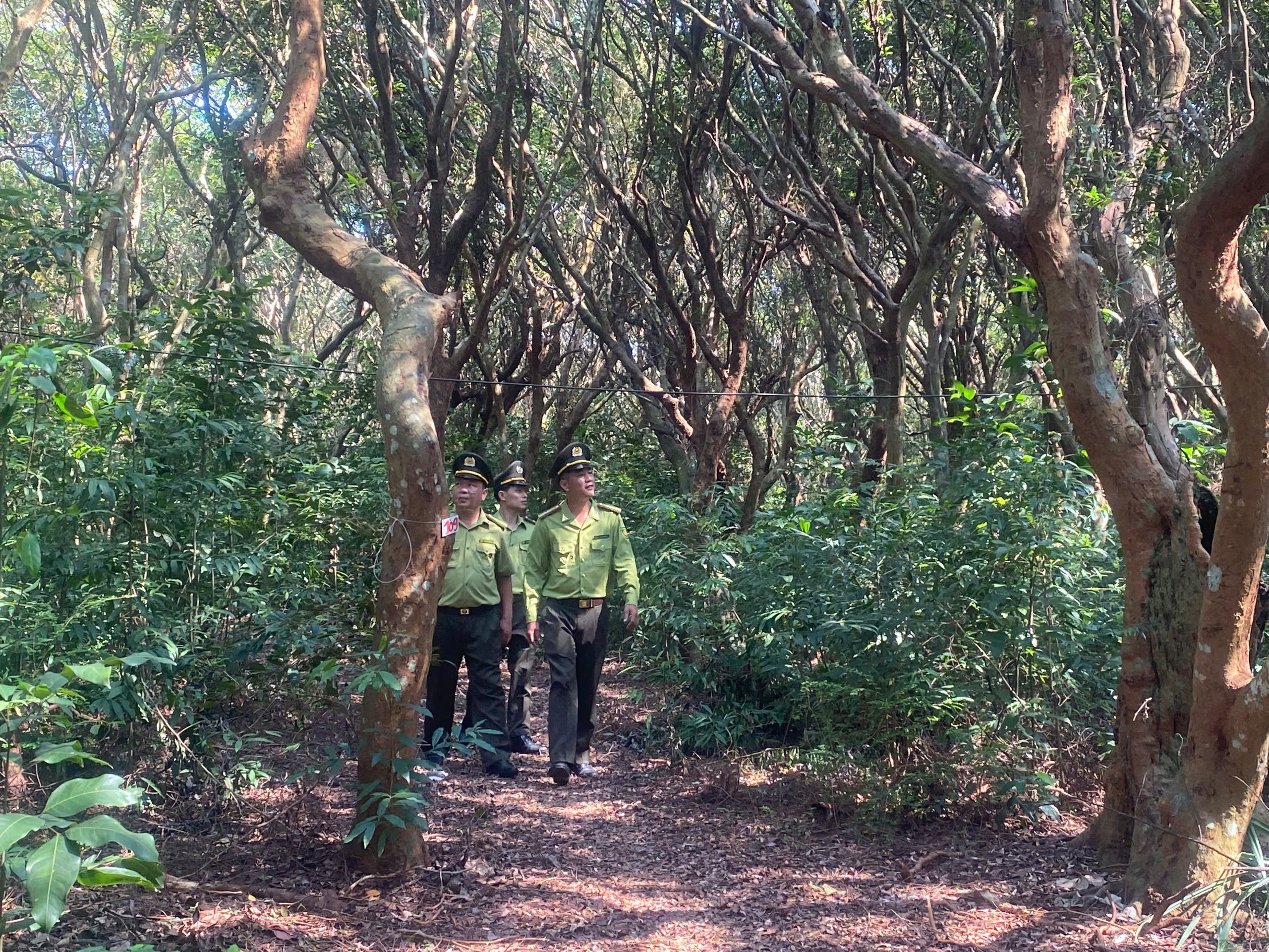 Quảng Ninh đánh thức tiềm năng vịnh Bái Tử Long- Ảnh 3. Quảng Ninh đánh thức tiềm năng vịnh Bái Tử Long- Ảnh 3.