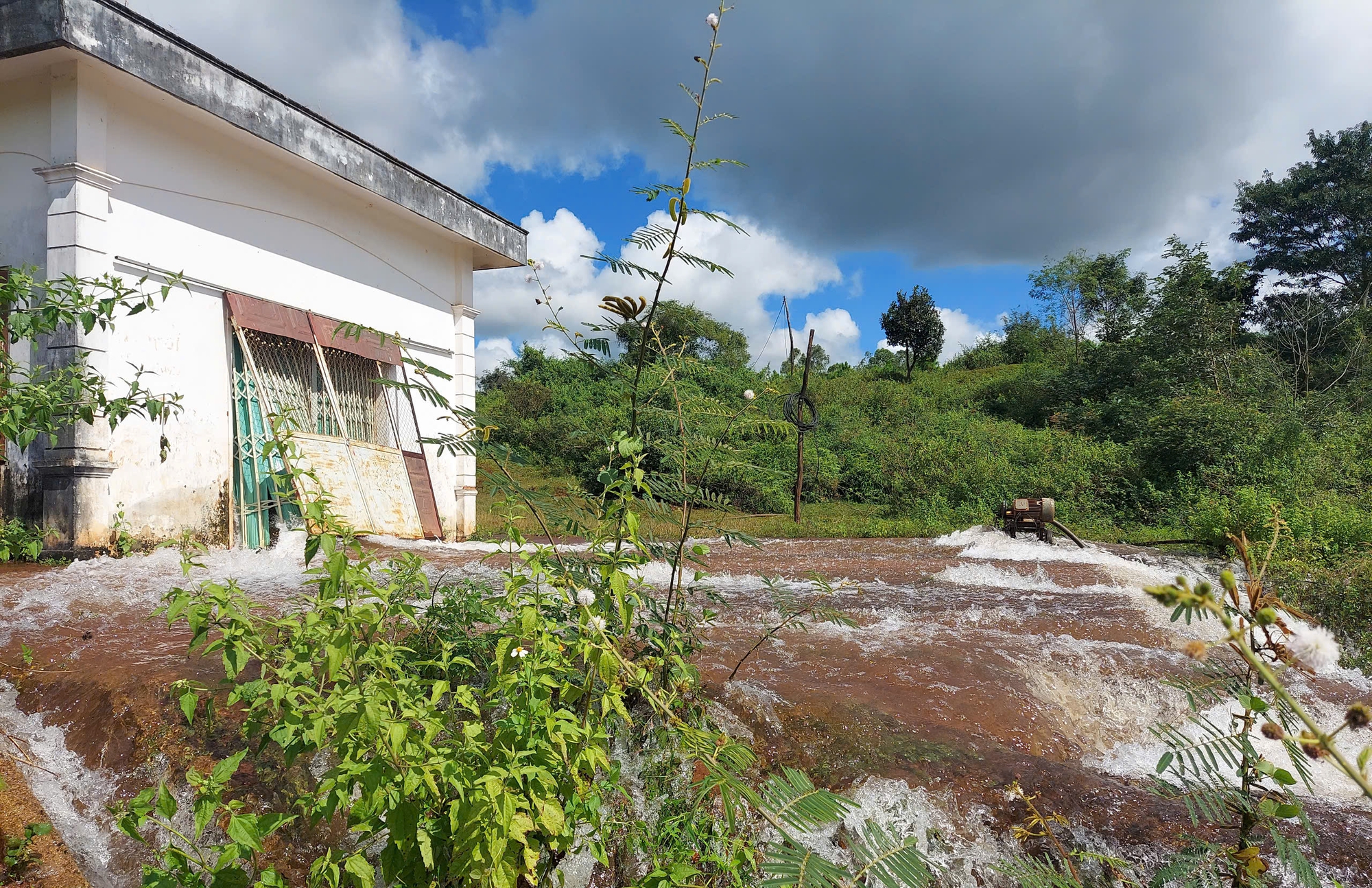 Sụt th&acirc;n đ&ecirc; hồ thủy lợi hơn 20 năm tuổi ở Gia Lai- Ảnh 2.