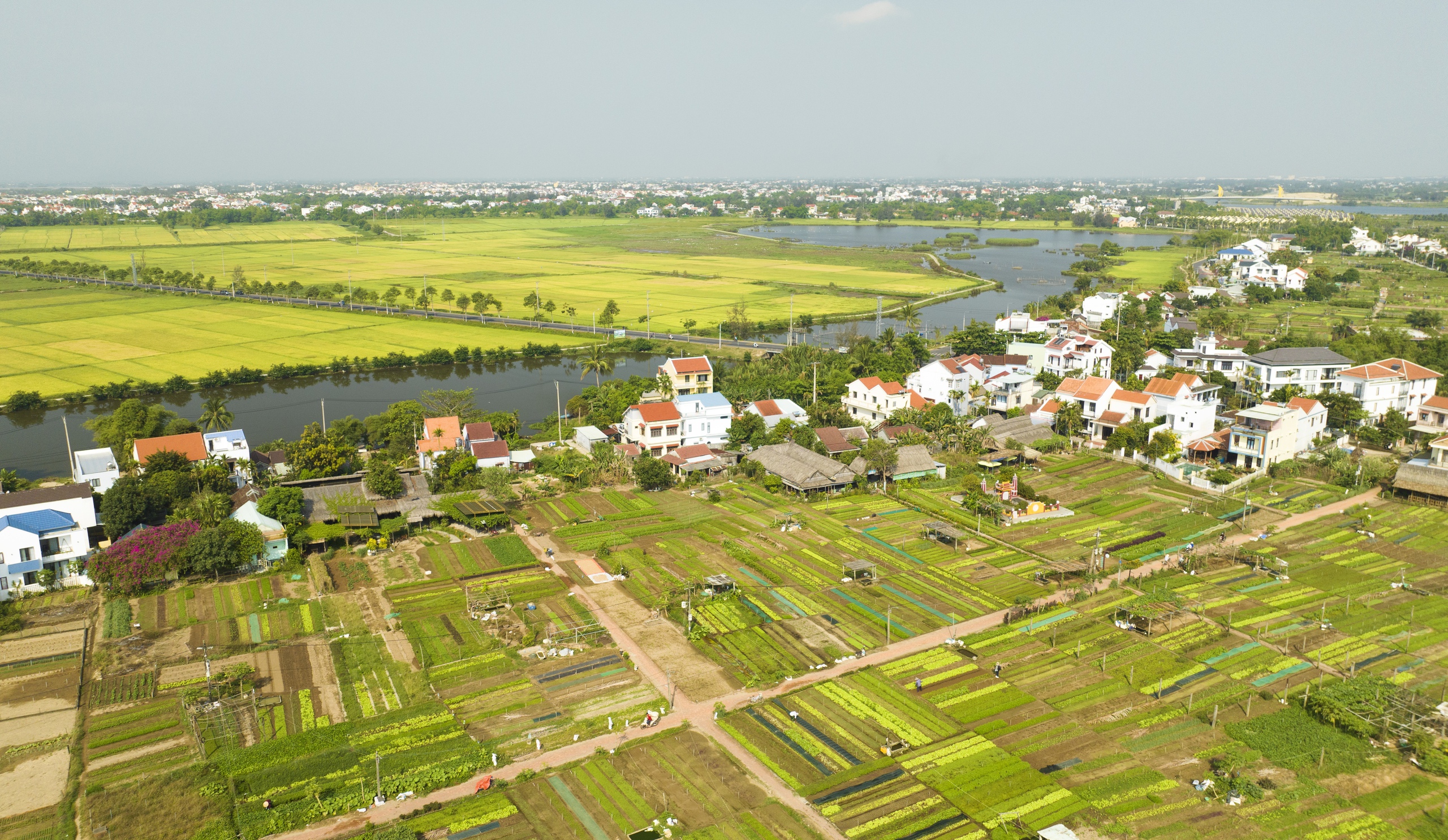 M&ecirc; mẩn vẻ đẹp L&agrave;ng du lịch tốt nhất thế giới năm 2024 ở Quảng Nam- Ảnh 1.