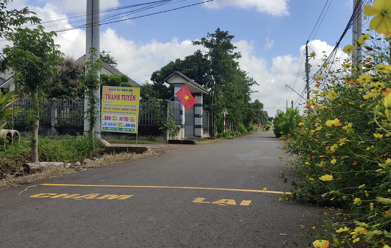 Rực rỡ những tuyến đường hoa ở v&ugrave;ng th&ocirc;n qu&ecirc; B&agrave; Rịa - Vũng T&agrave;u- Ảnh 14.