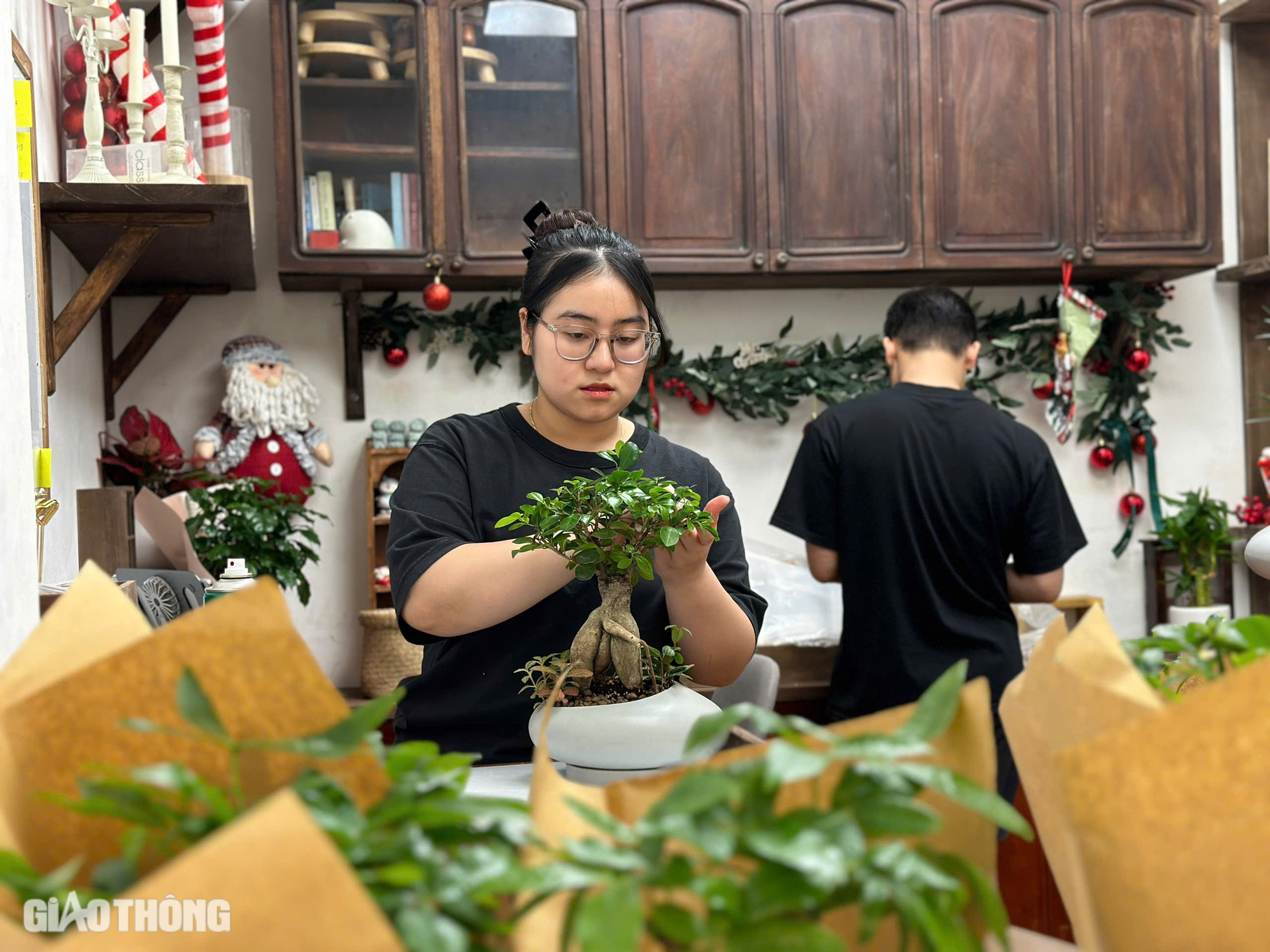 C&acirc;y phong thủy, bonsai h&uacute;t kh&aacute;ch mua dịp 20/11- Ảnh 2.