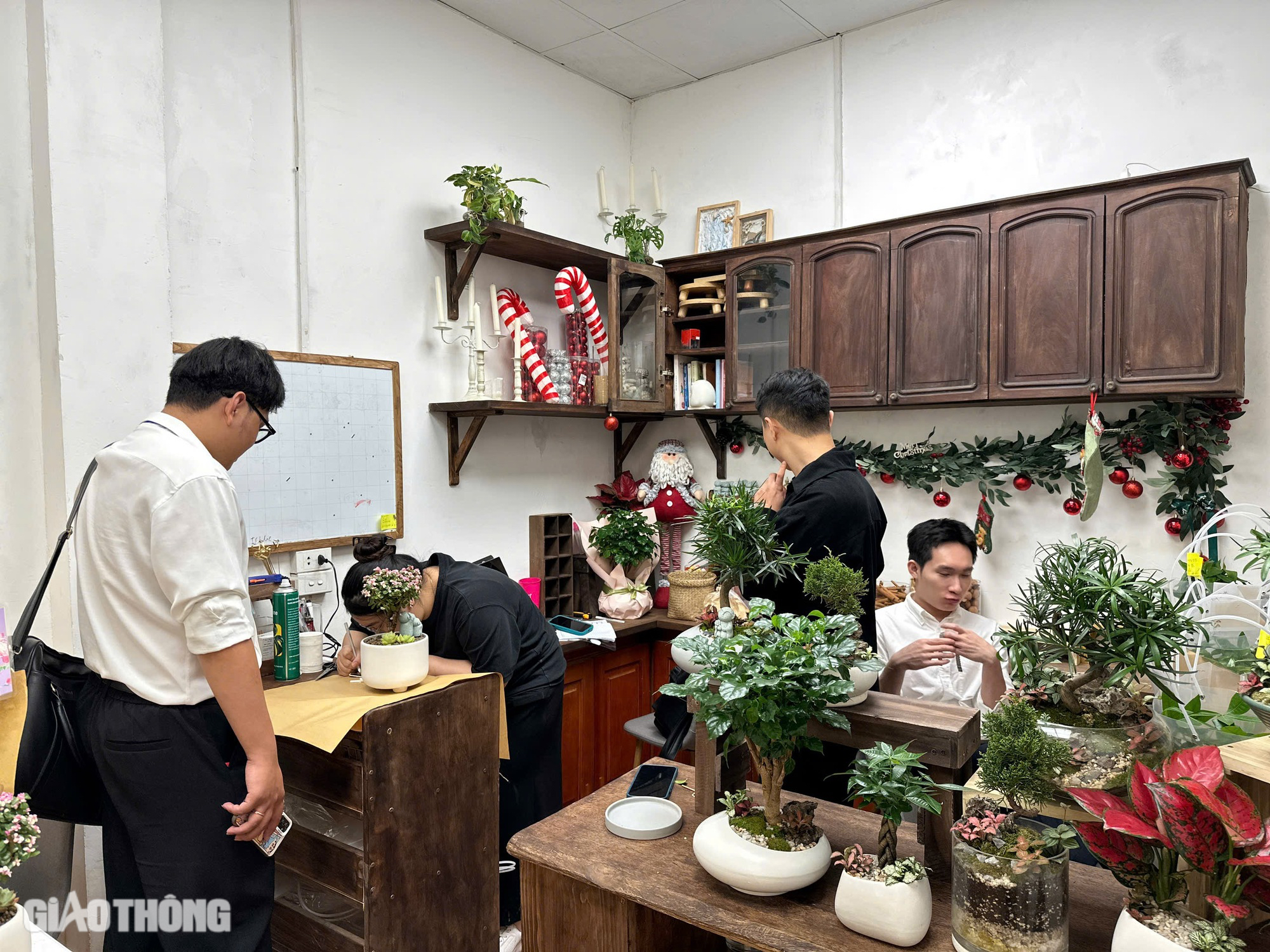 C&acirc;y phong thủy, bonsai h&uacute;t kh&aacute;ch mua dịp 20/11- Ảnh 1.