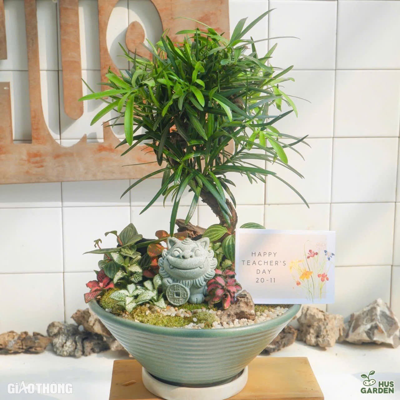 C&acirc;y phong thủy, bonsai h&uacute;t kh&aacute;ch mua dịp 20/11- Ảnh 10.