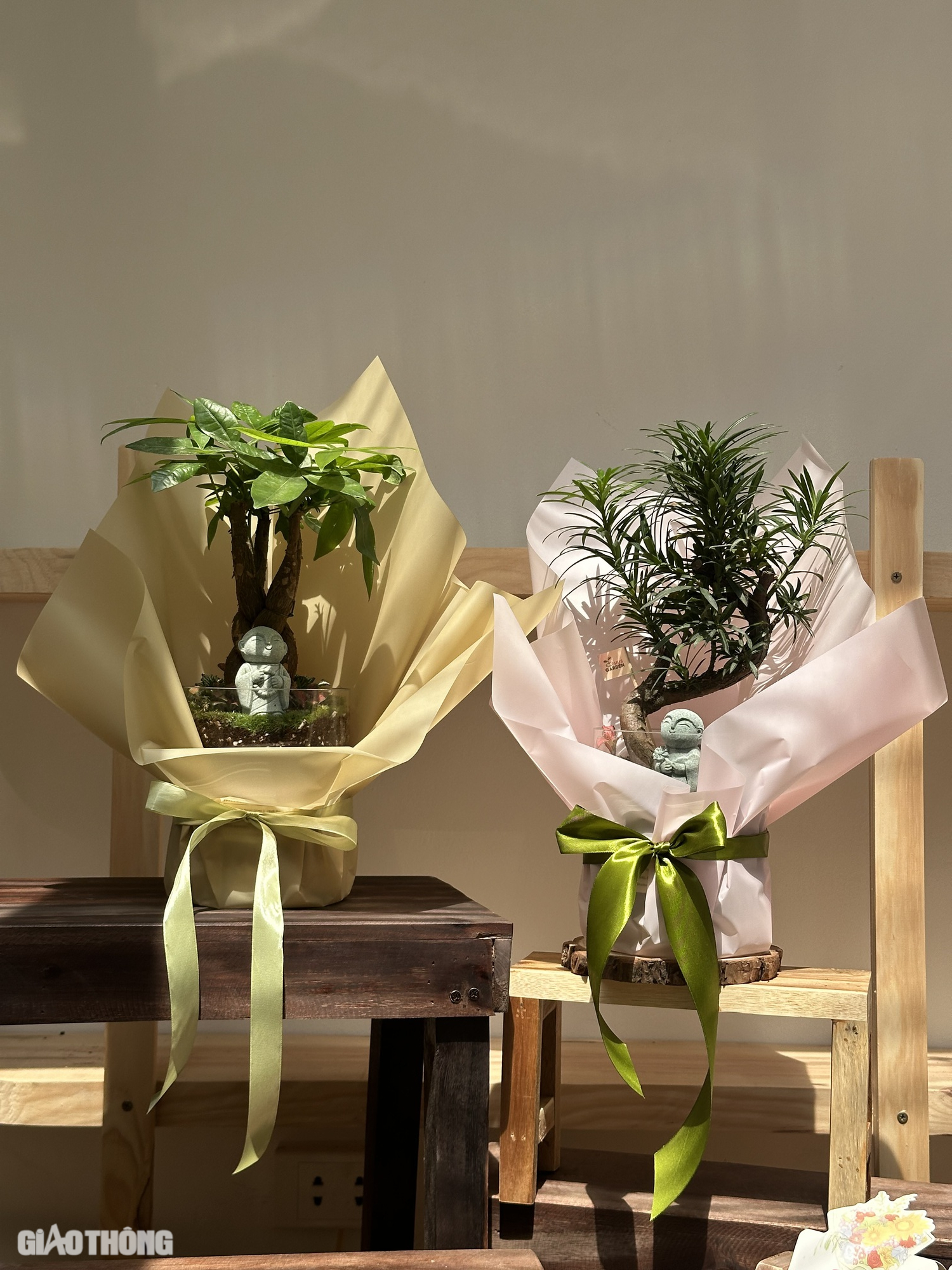 C&acirc;y phong thủy, bonsai h&uacute;t kh&aacute;ch mua dịp 20/11- Ảnh 6.