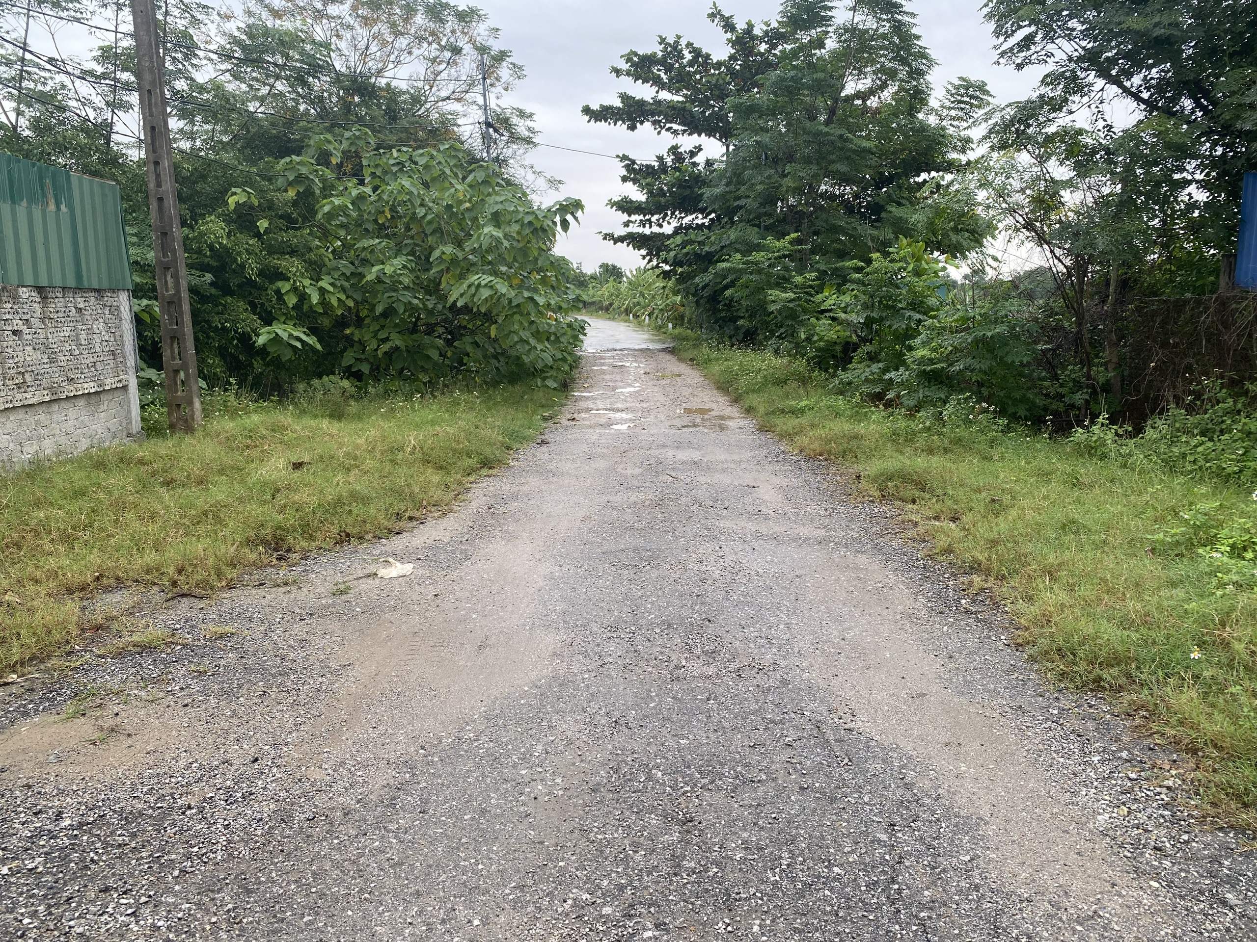 Nghệ An l&agrave;m g&igrave; để giải ng&acirc;n được 200 tỷ đồng hỗ trợ khắc phục thi&ecirc;n tai đang mắc kẹt?- Ảnh 4.