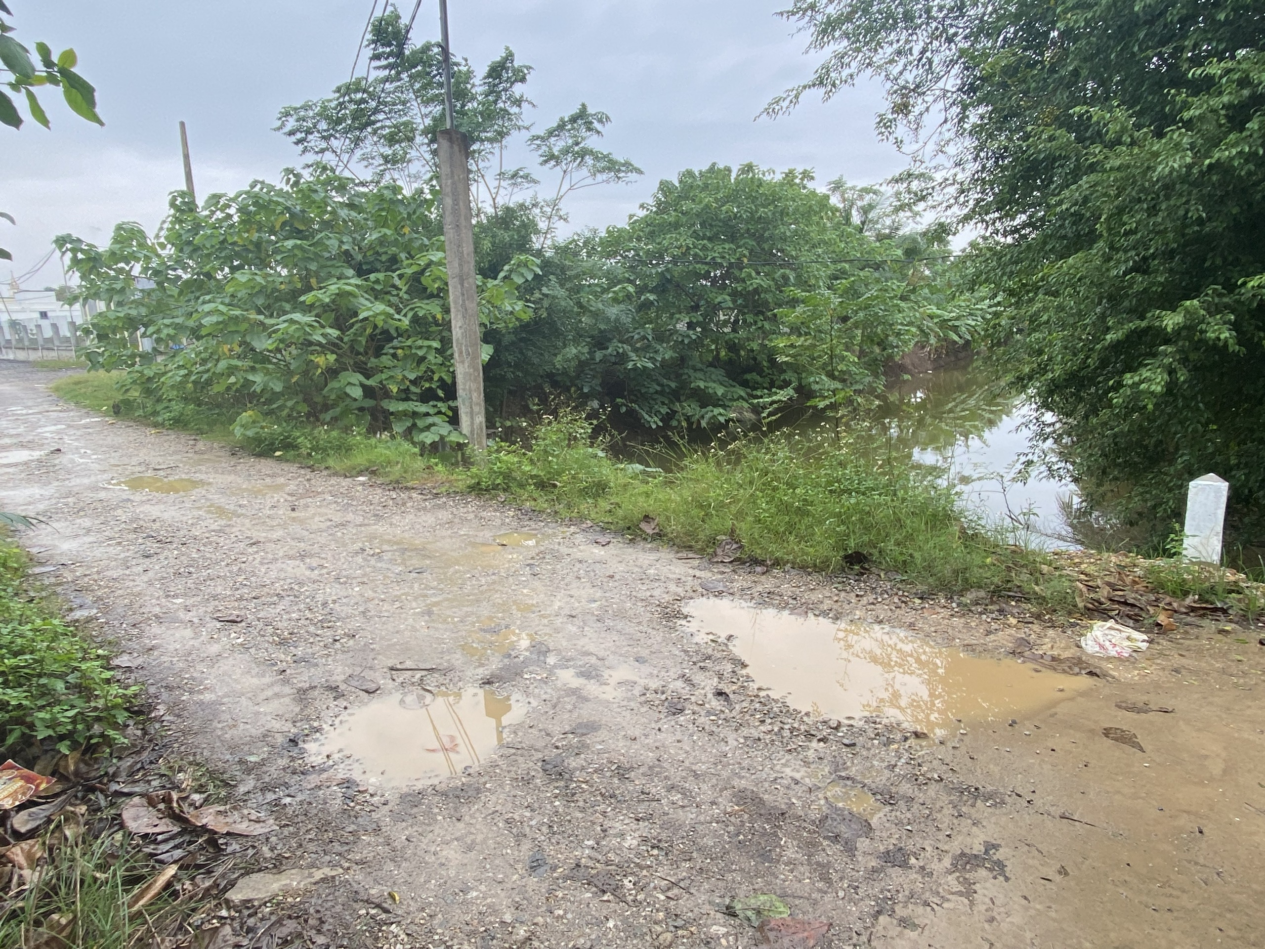 Nghệ An l&agrave;m g&igrave; để giải ng&acirc;n được 200 tỷ đồng hỗ trợ khắc phục thi&ecirc;n tai đang mắc kẹt?- Ảnh 3.