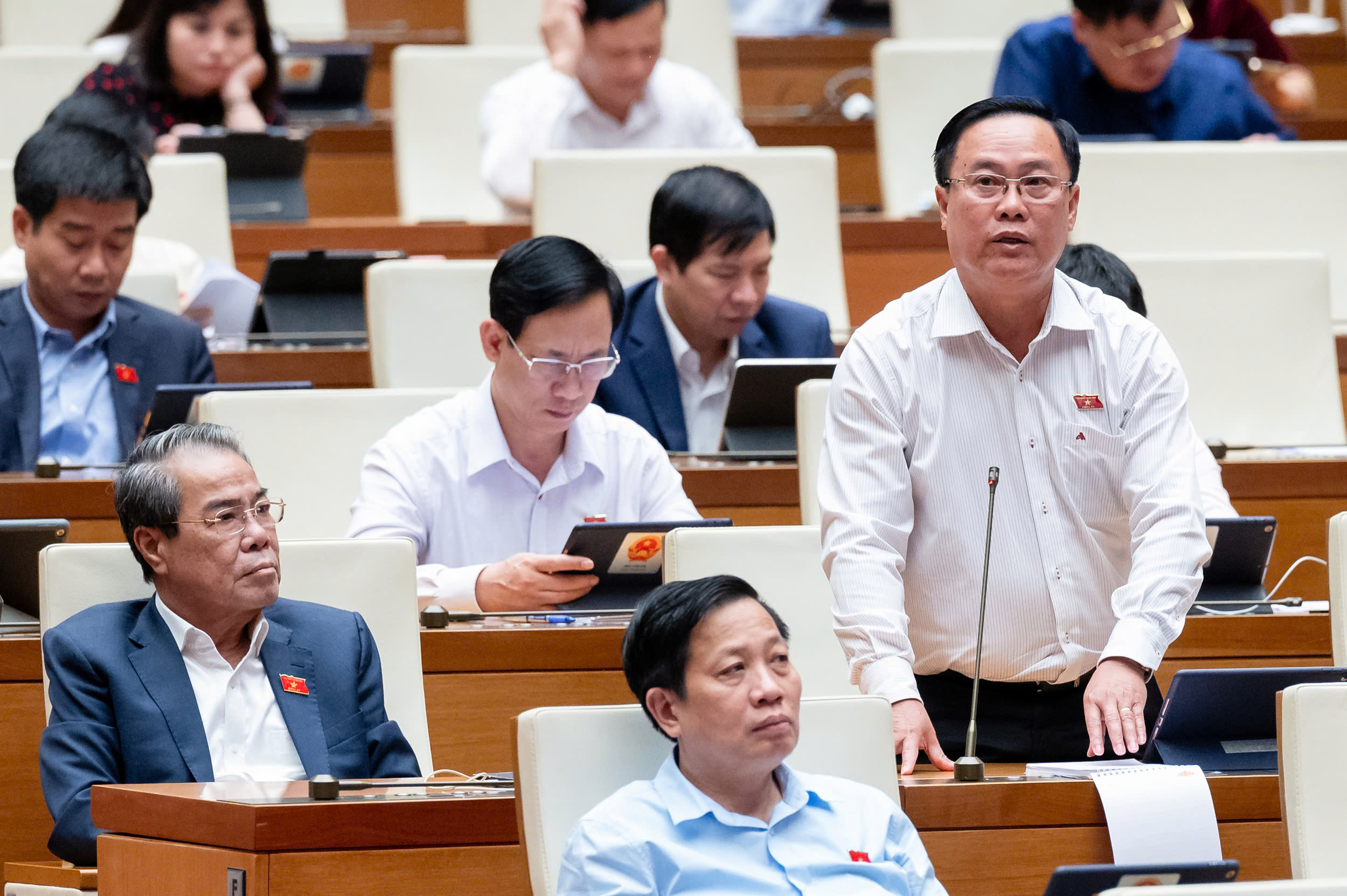 Đại biểu Quốc hội mong muốn đường sắt tốc độ cao c&oacute; từ mũi C&agrave; Mau đến địa đầu Tổ quốc- Ảnh 1.