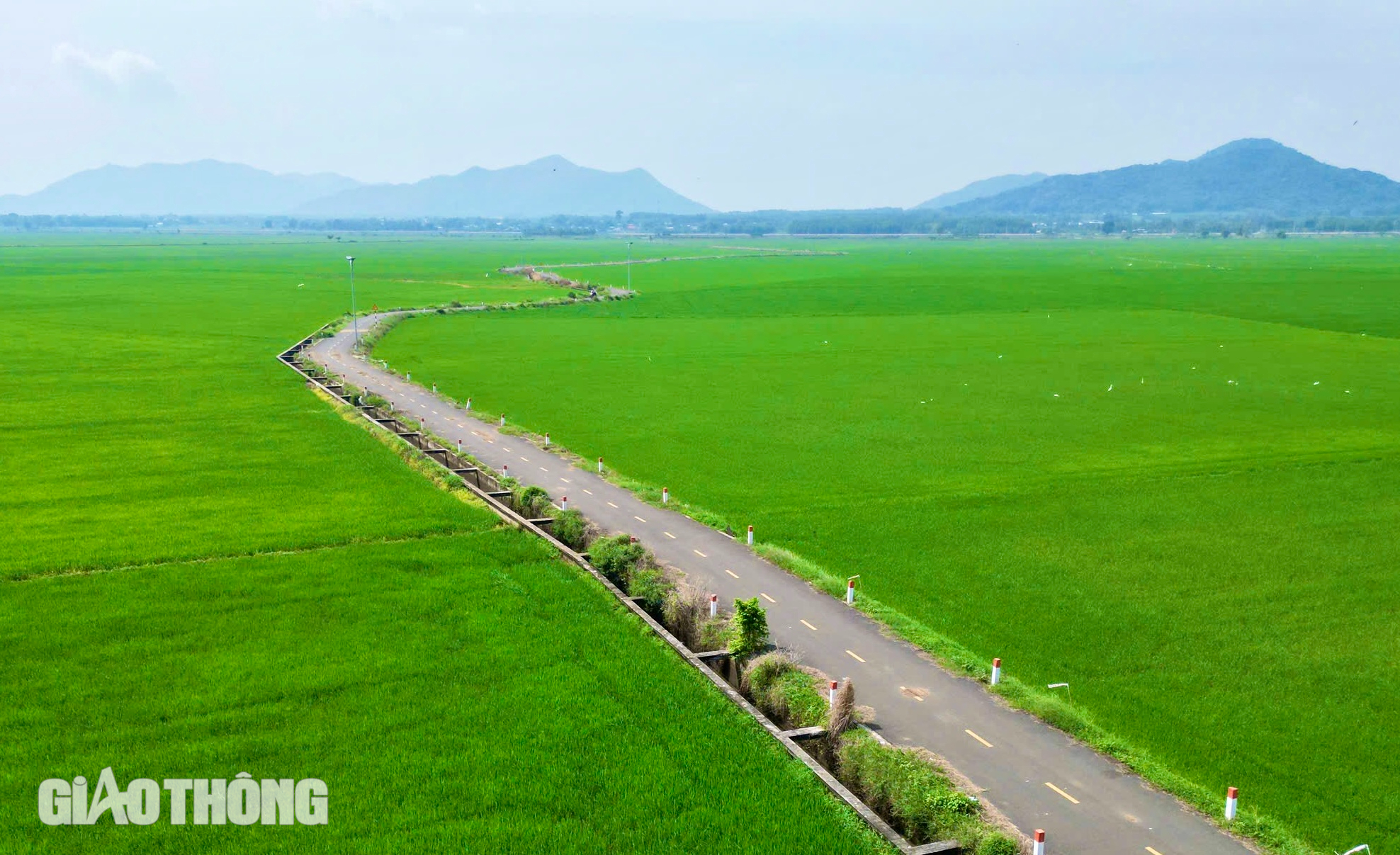 Những cung đường đẹp ở B&agrave; Rịa - Vũng T&agrave;u- Ảnh 13.