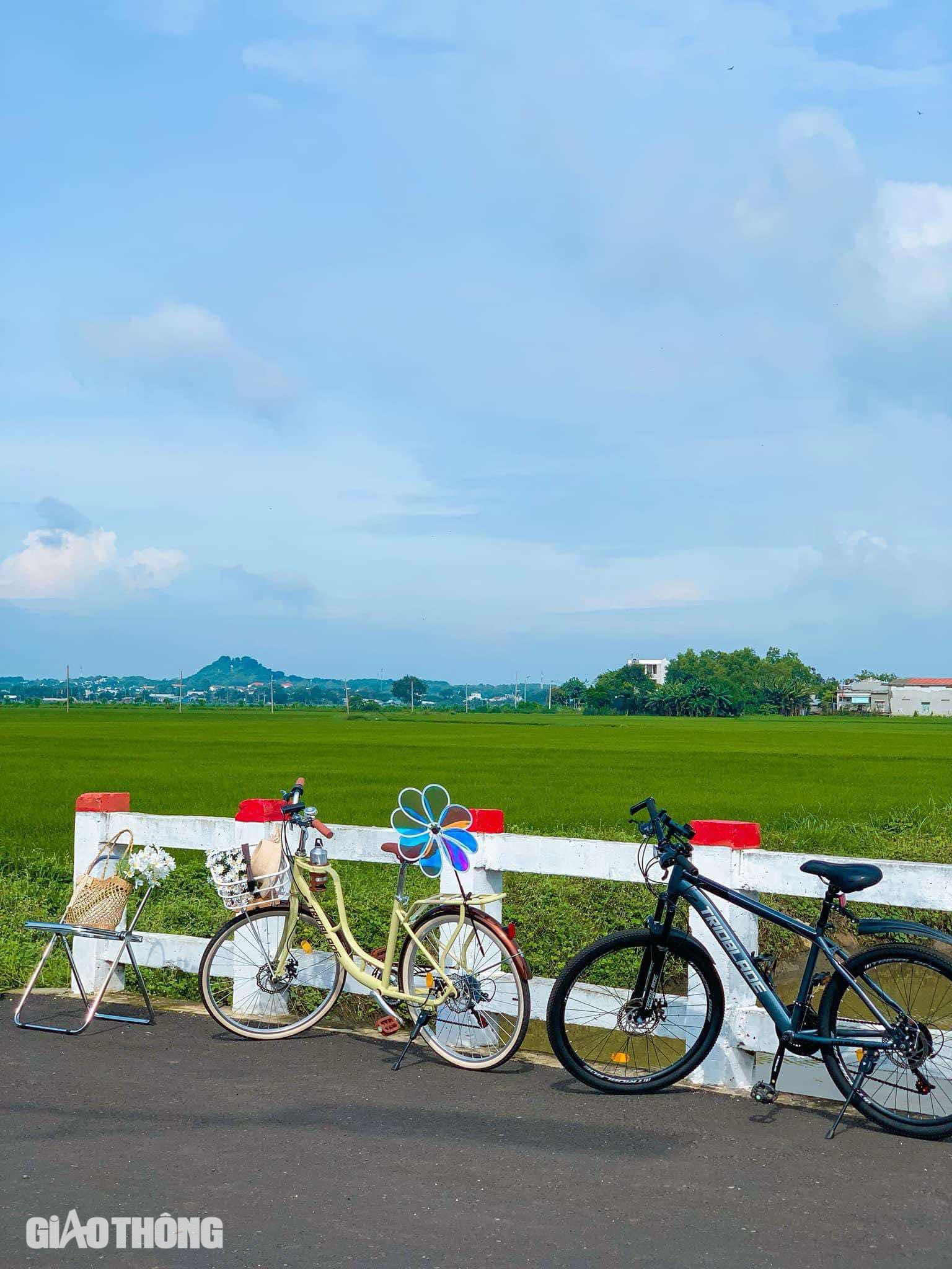 Những cung đường đẹp ở B&agrave; Rịa - Vũng T&agrave;u- Ảnh 10.