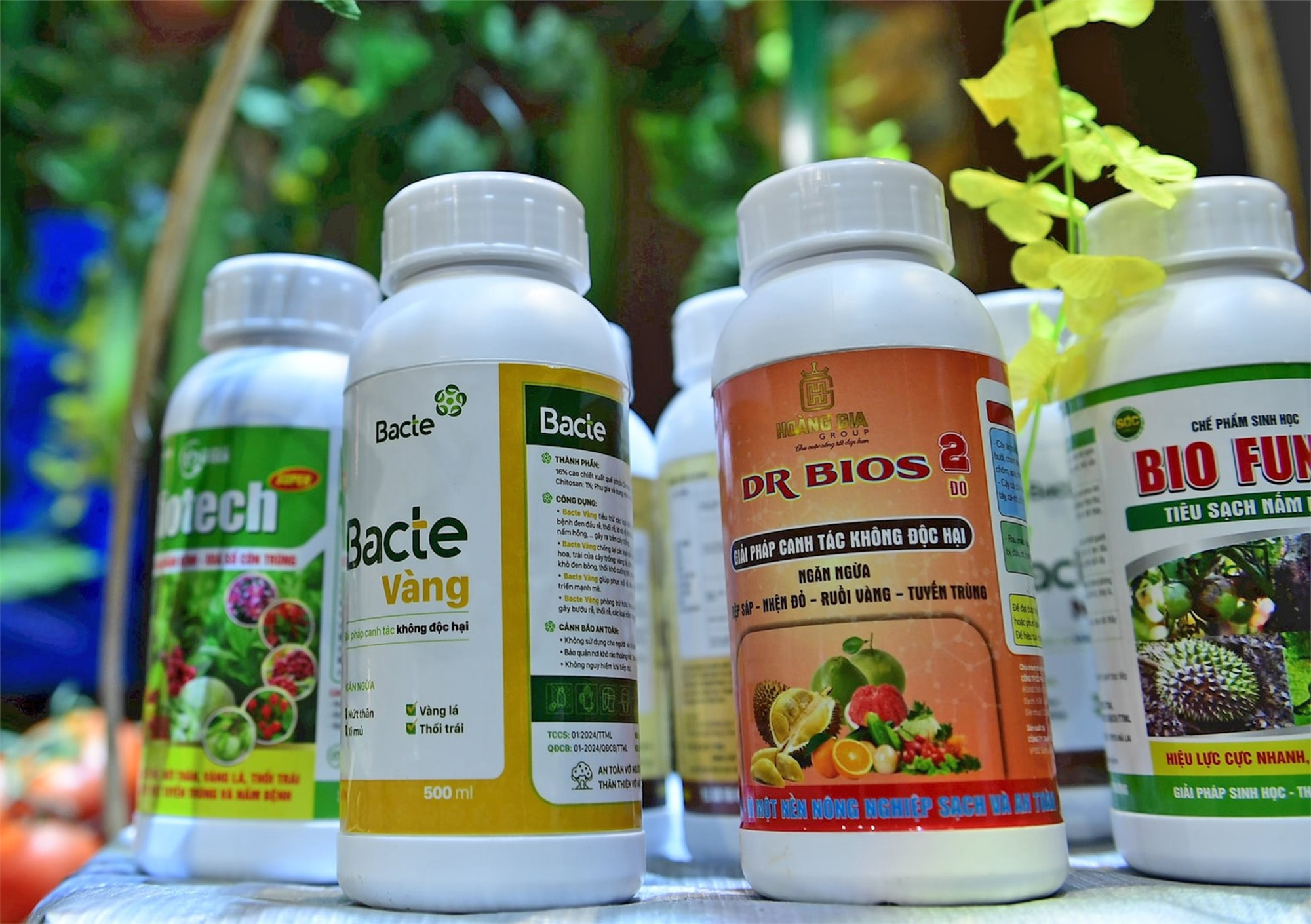 Kỹ sư diệt s&acirc;u bằng vỏ quế kiếm trăm tỷ- Ảnh 2.