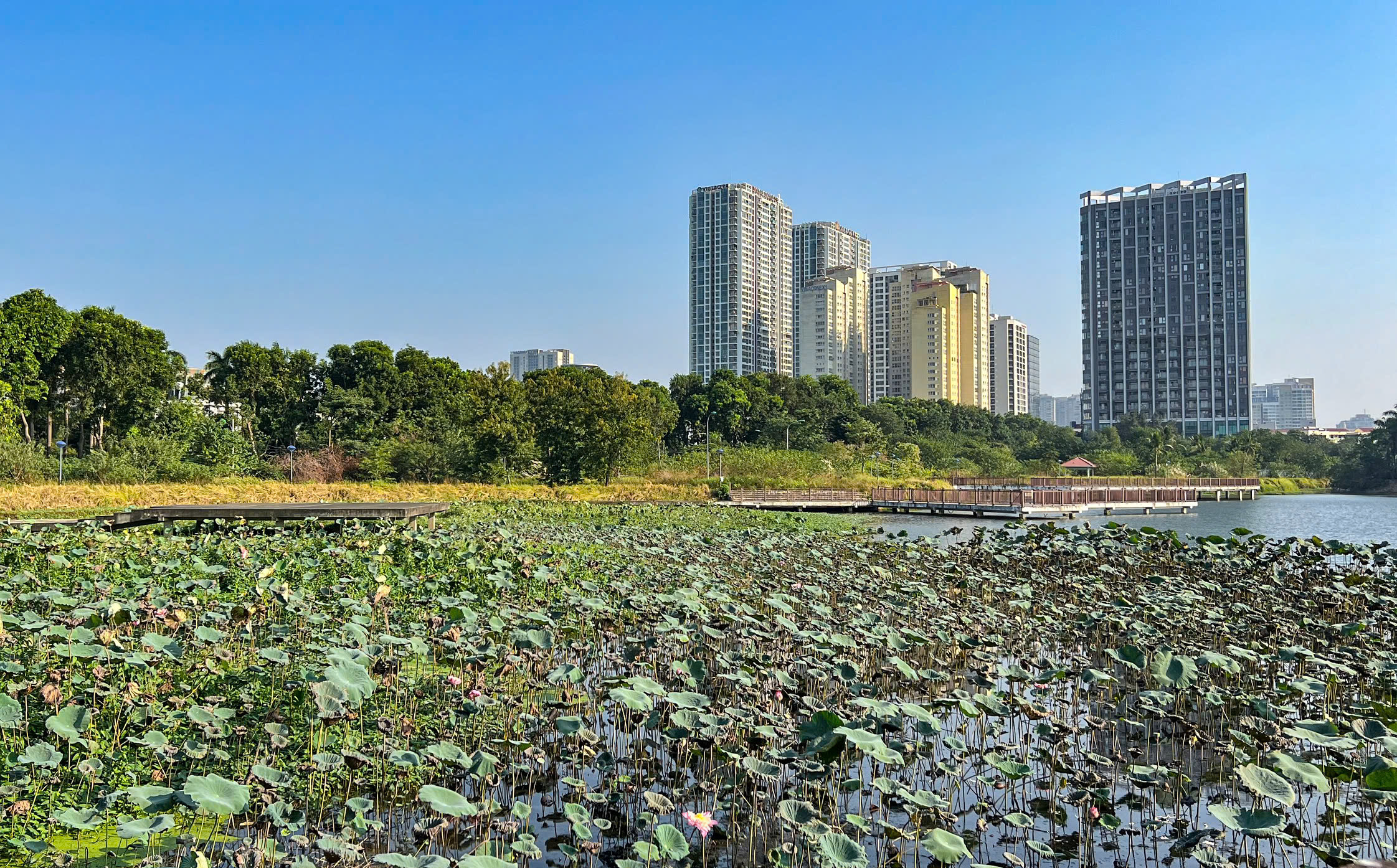 Toàn cảnh công viên gần 3,5 nghìn tỷ đồng chậm tiến độ nhiều năm - Ảnh 13. Toàn cảnh công viên gần 3,5 nghìn tỷ đồng chậm tiến độ nhiều năm - Ảnh 13.