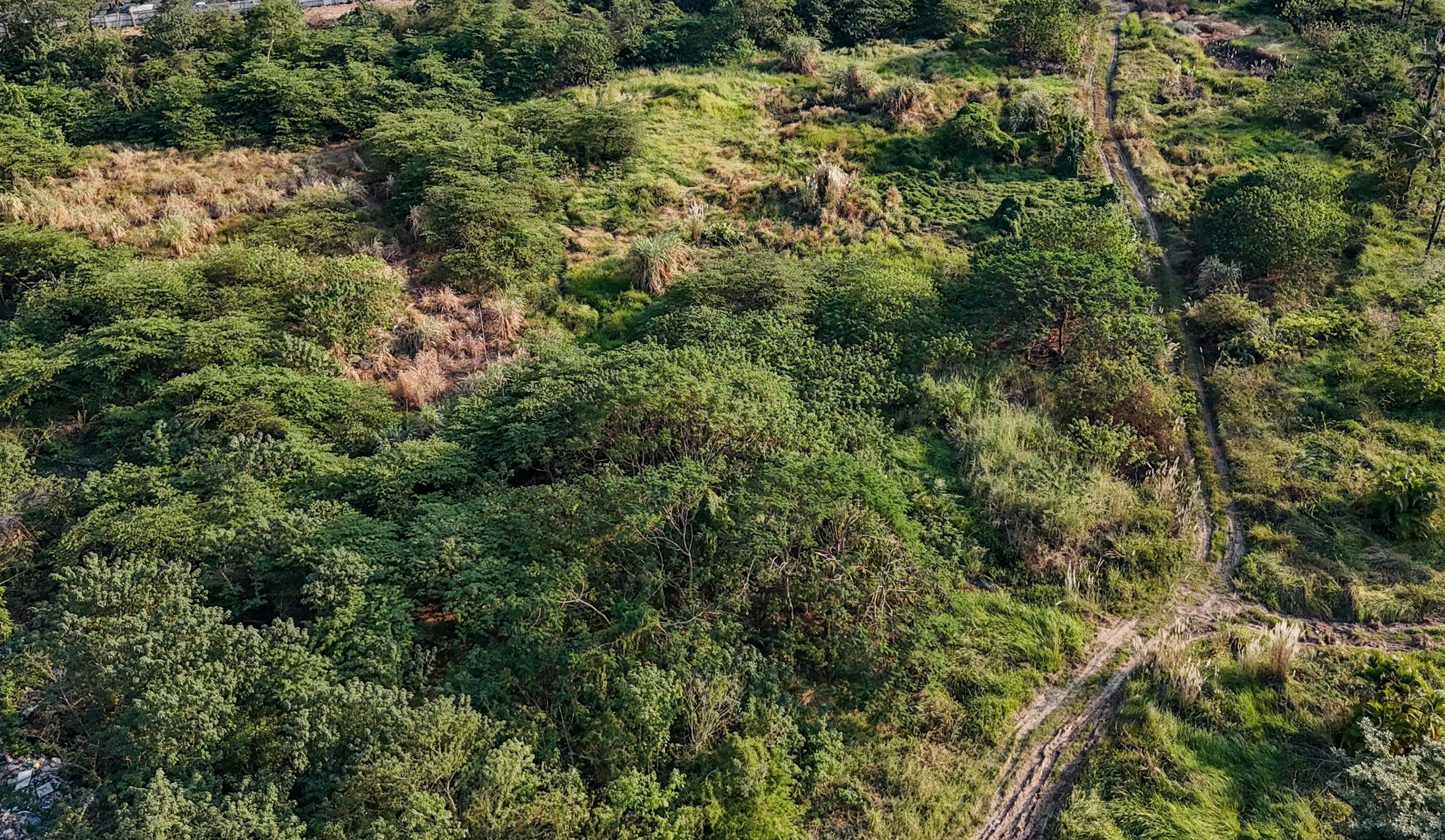 Toàn cảnh công viên gần 3,5 nghìn tỷ đồng chậm tiến độ nhiều năm - Ảnh 4. Toàn cảnh công viên gần 3,5 nghìn tỷ đồng chậm tiến độ nhiều năm - Ảnh 4.