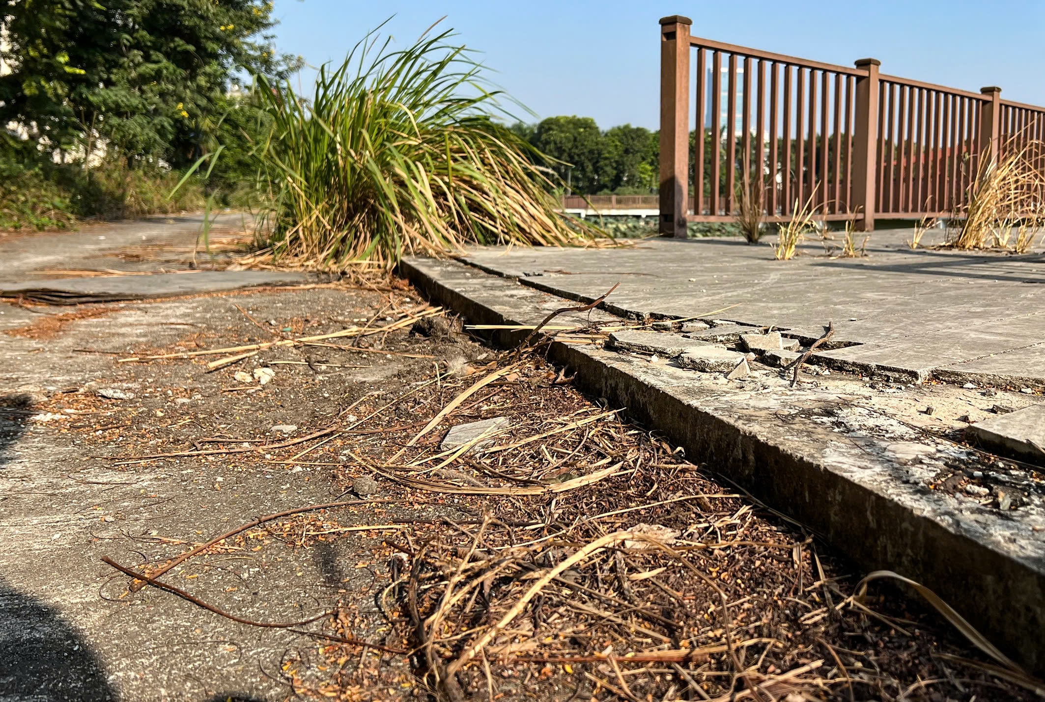 Toàn cảnh công viên gần 3,5 nghìn tỷ đồng chậm tiến độ nhiều năm - Ảnh 12. Toàn cảnh công viên gần 3,5 nghìn tỷ đồng chậm tiến độ nhiều năm - Ảnh 12.