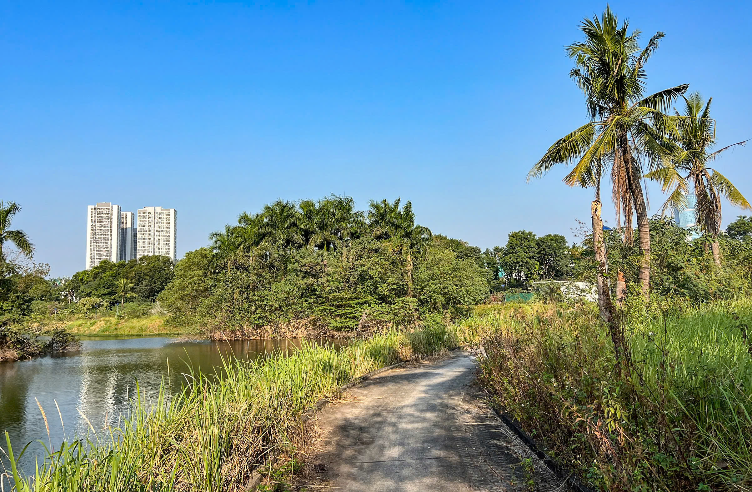 Toàn cảnh công viên gần 3,5 nghìn tỷ đồng chậm tiến độ nhiều năm - Ảnh 7. Toàn cảnh công viên gần 3,5 nghìn tỷ đồng chậm tiến độ nhiều năm - Ảnh 7.