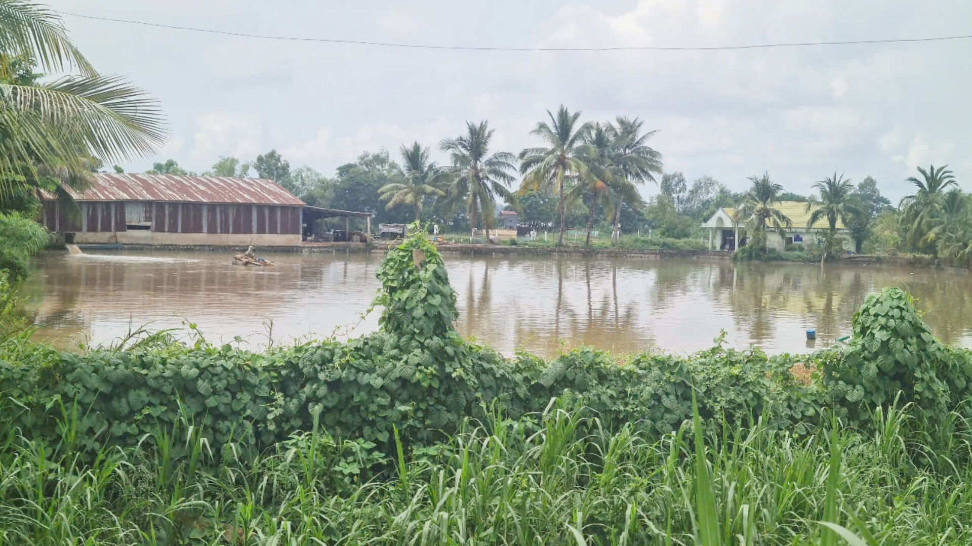 UBND tỉnh An Giang v&agrave;o cuộc vụ khai th&aacute;c tr&aacute;i ph&eacute;p hơn 875.000m3 đất- Ảnh 2.
