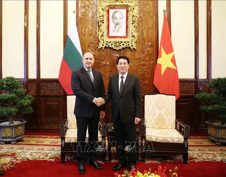 Chủ tịch nước Lương Cường chủ tr&igrave; lễ đ&oacute;n ch&iacute;nh thức Tổng thống Bulgaria- Ảnh 7.