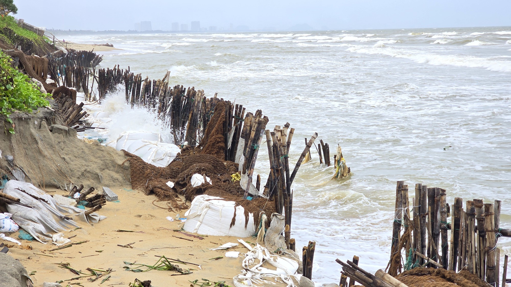 H&agrave;ng trăm m&eacute;t bờ biển Hội An sạt lở nghi&ecirc;m trọng- Ảnh 3.